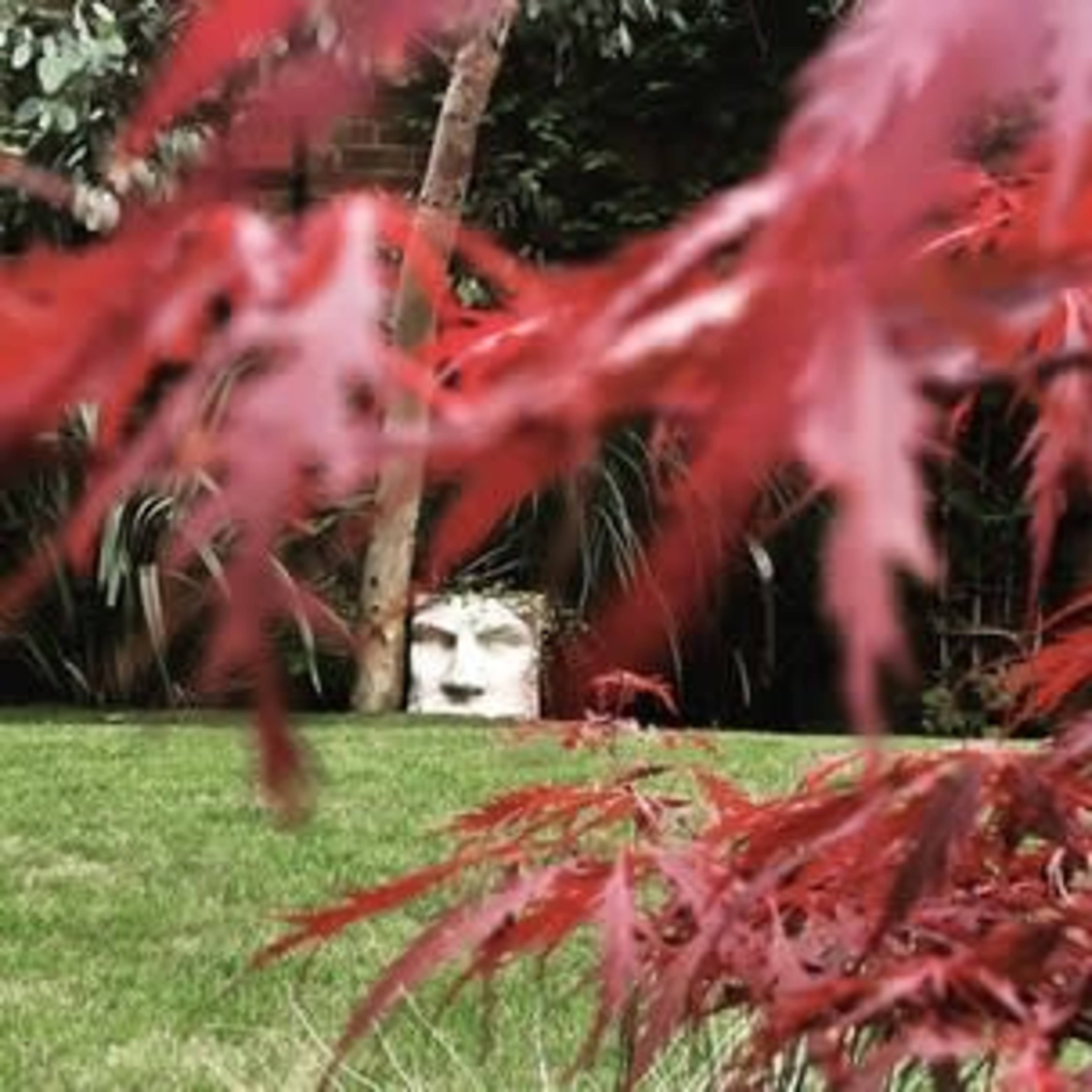 A stone face sculpture is partially visible behind red maple leaves in a garden.