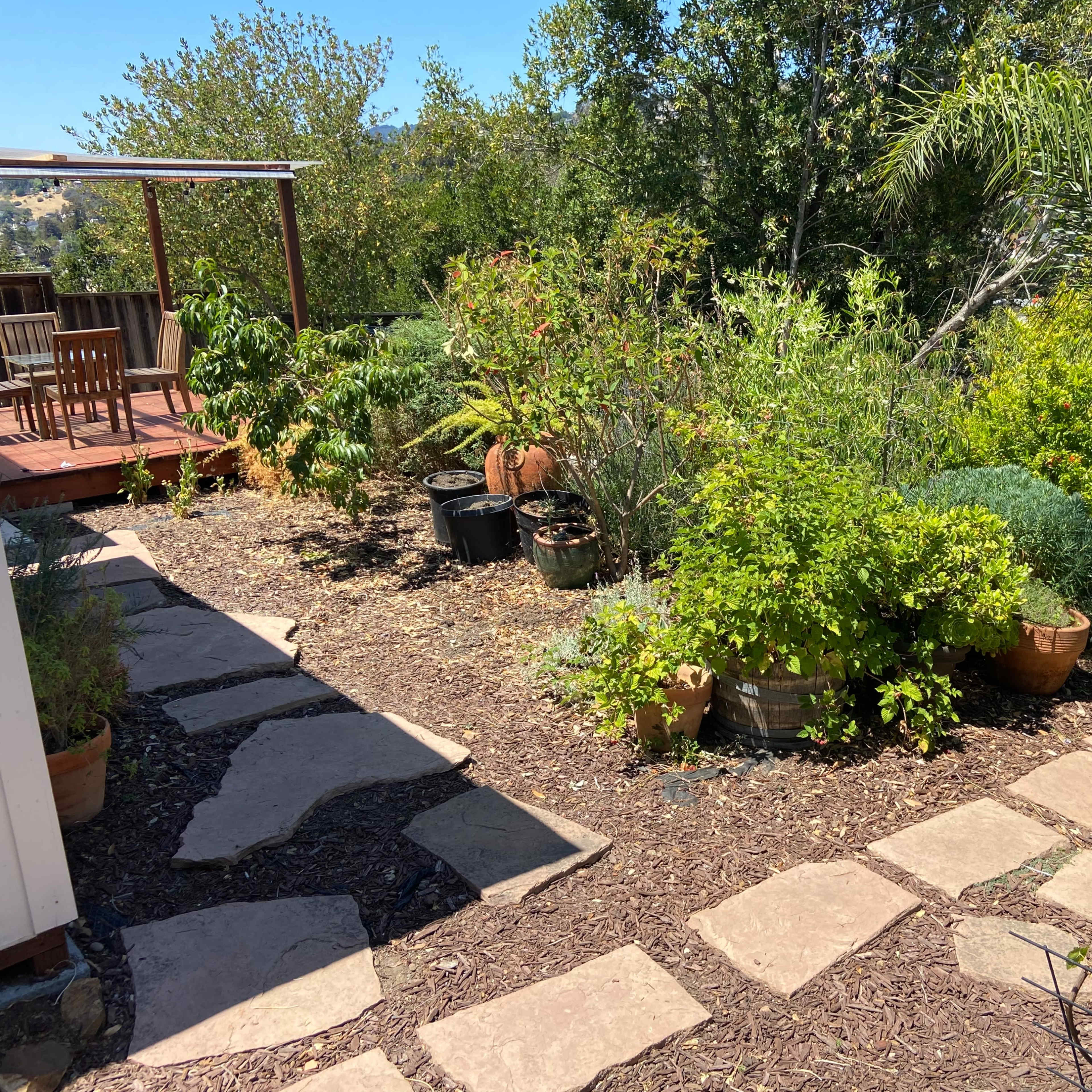 A garden pathway made of stone tiles, bordered by various potted plants and greenery, with a wooden deck visible in the background.