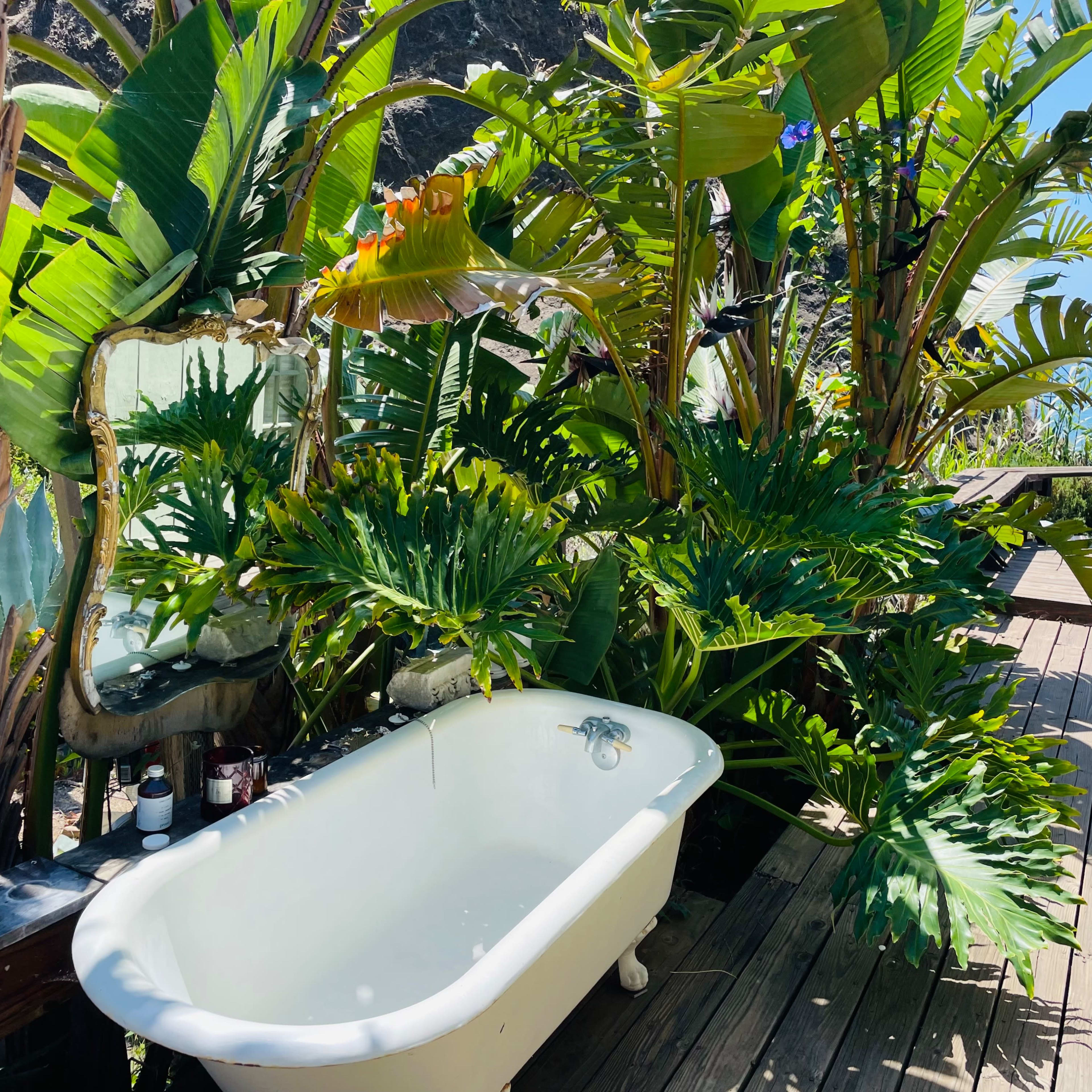 A vintage bathtub surrounded by lush tropical plants on a wooden deck with a view of the ocean.