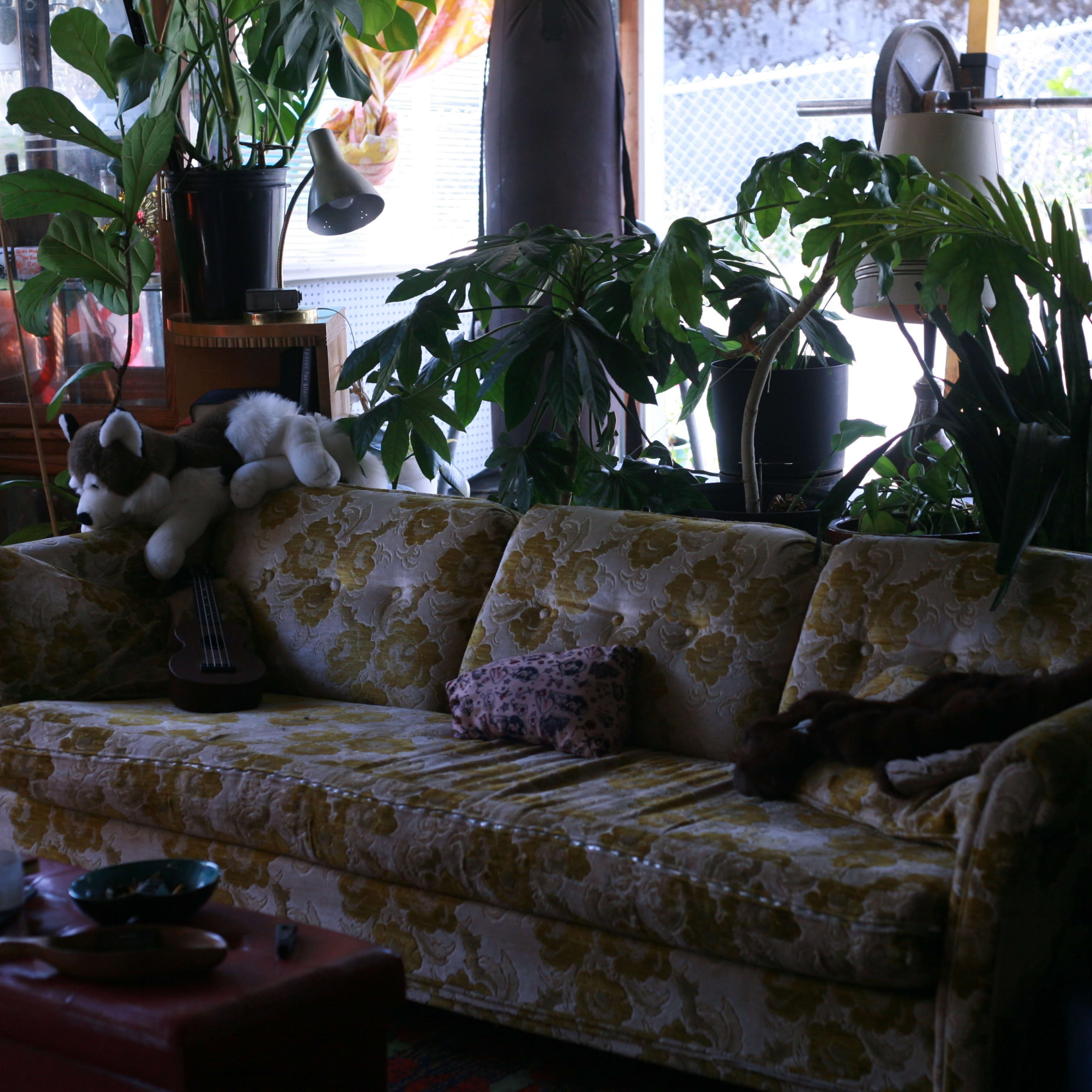 A vintage, floral-patterned couch is surrounded by various potted plants in a well-lit room.
