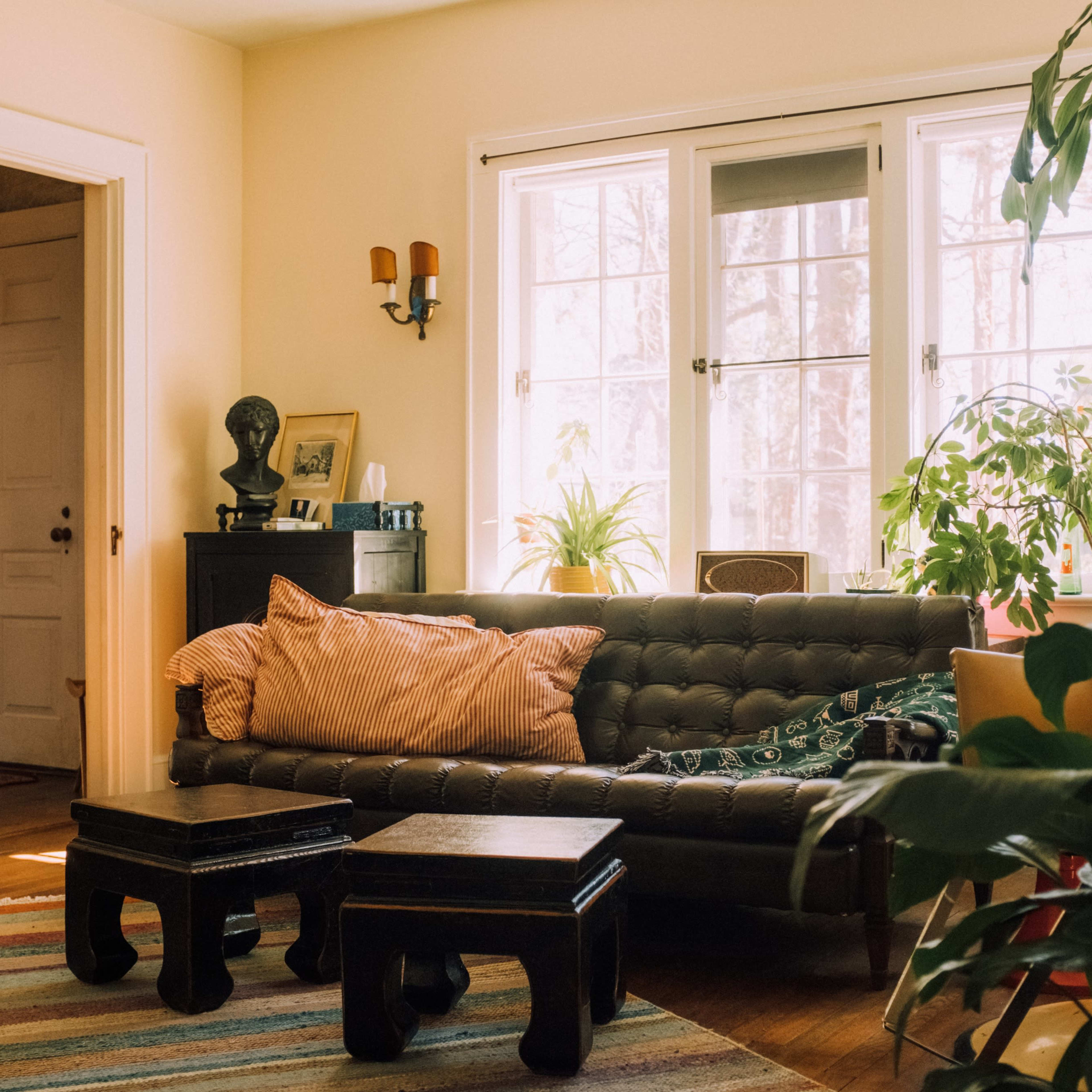 A cozy living room with a leather sofa, two small wooden tables, and several plants positioned near large windows.