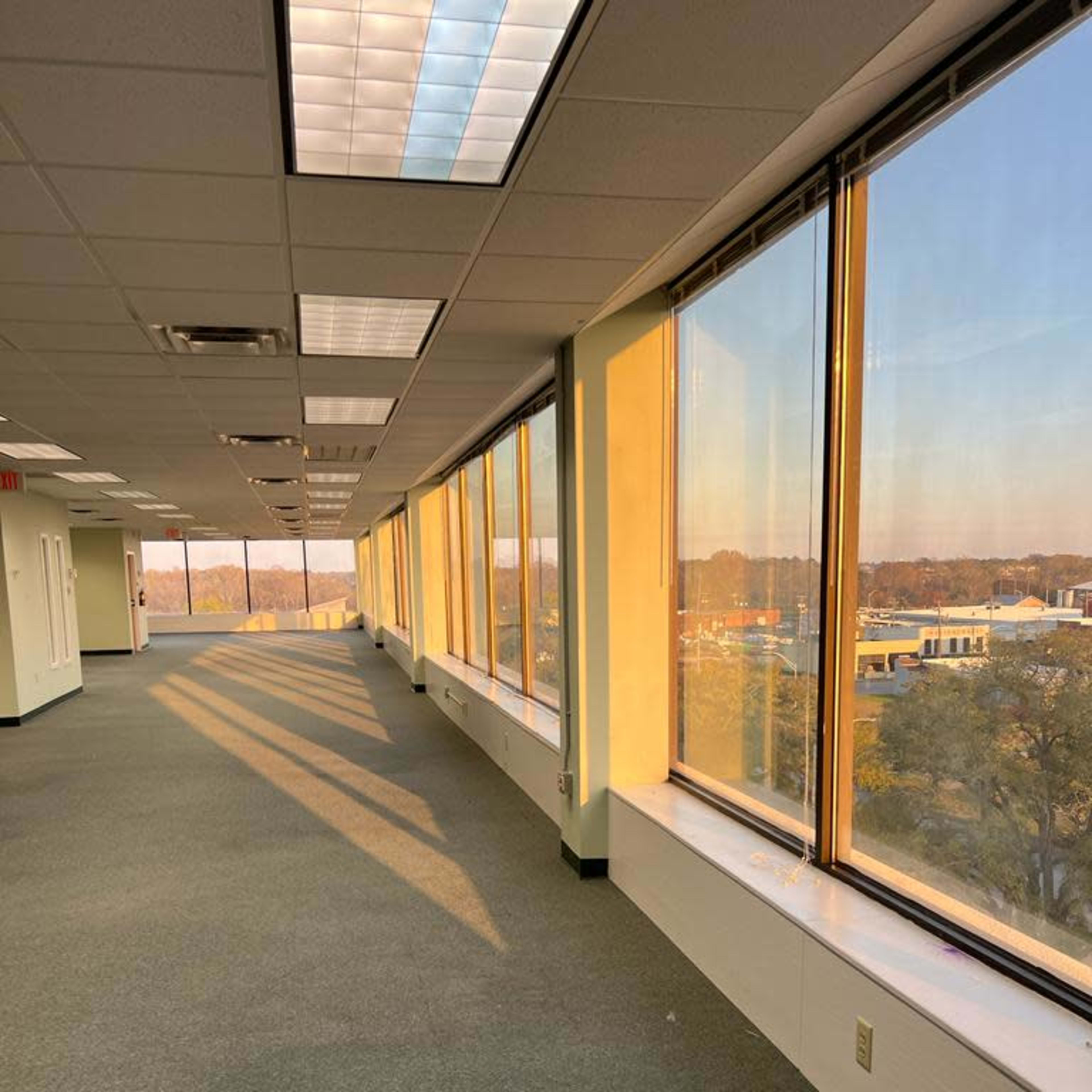 A long hallway with large windows letting in natural light, lined by green carpet and white walls.
