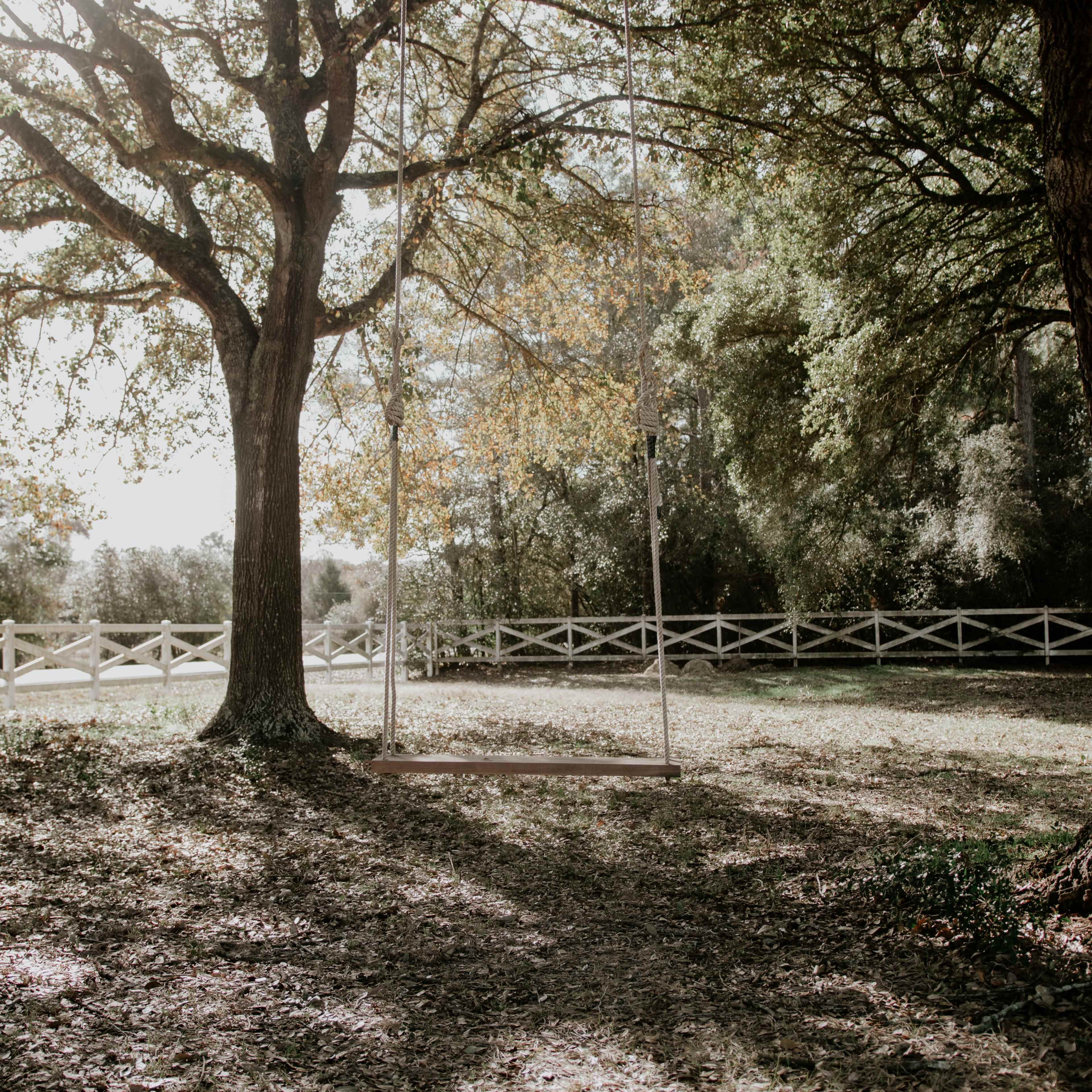 A wooden swing hangs from a large tree in a sunlit yard surrounded by a white fence.