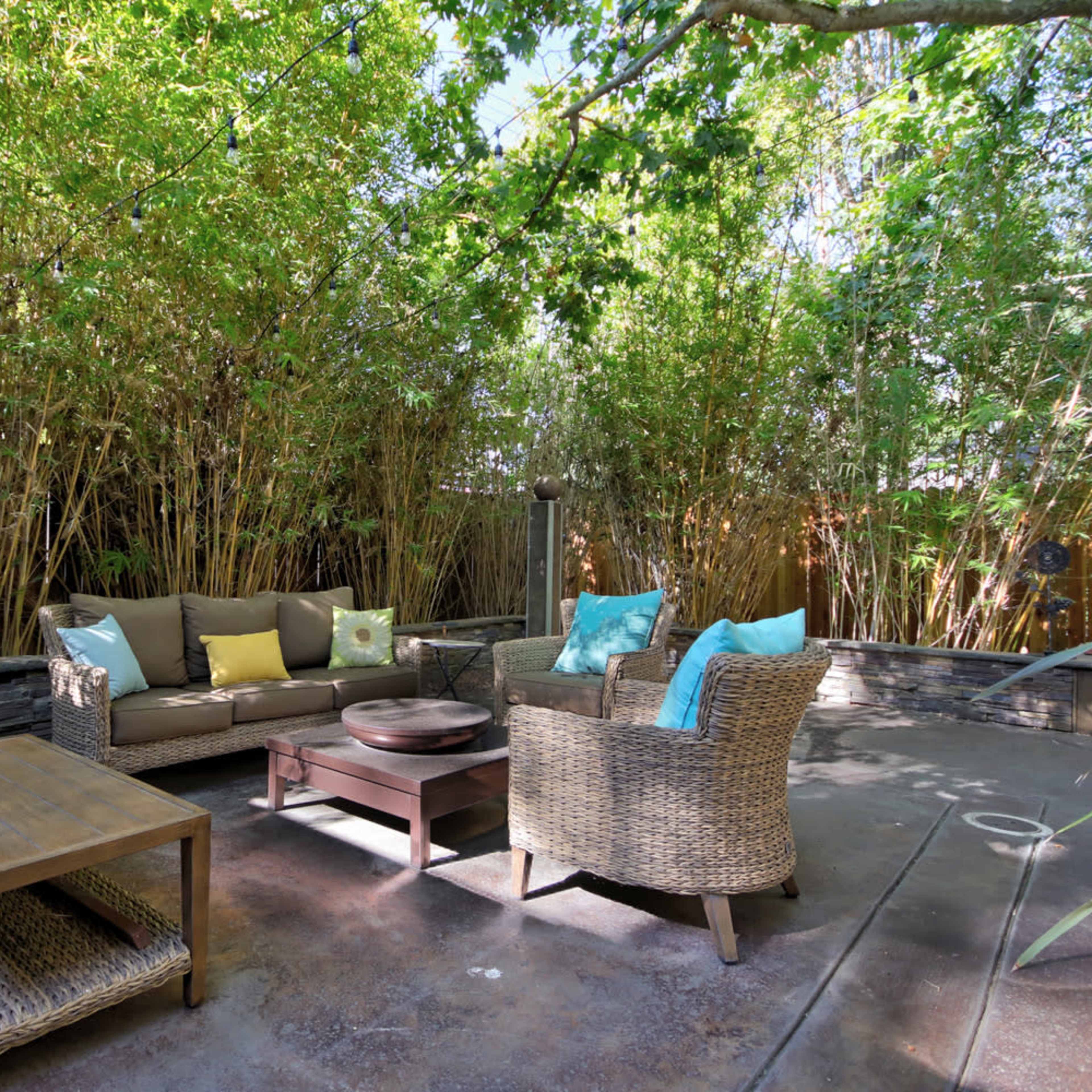 The scene features a secluded outdoor seating area surrounded by tall bamboo, with a sofa, two armchairs, and a coffee table on a concrete surface.