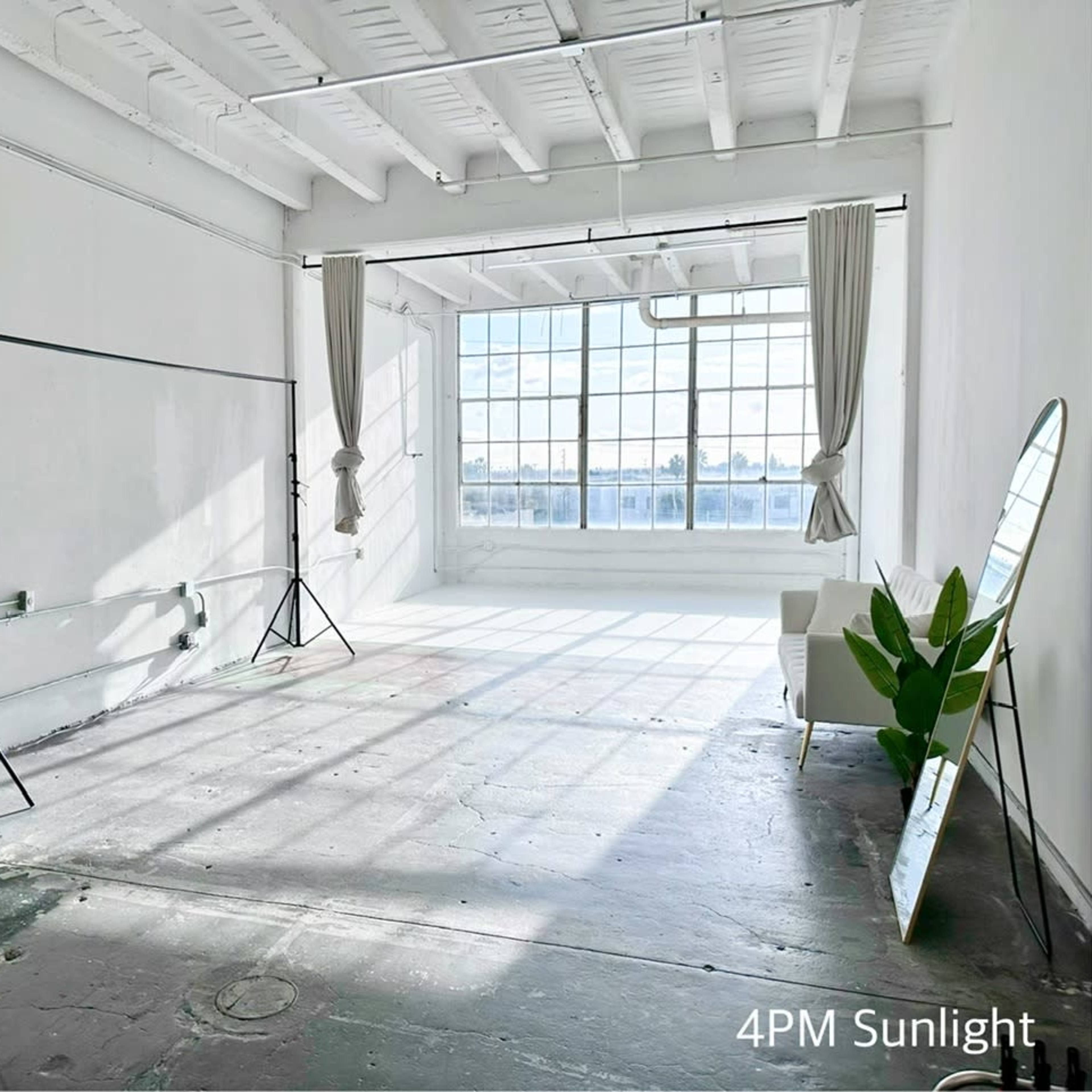 A bright, empty studio space features large windows, a mirror, and a potted plant, with sunlight casting shadows on the floor.