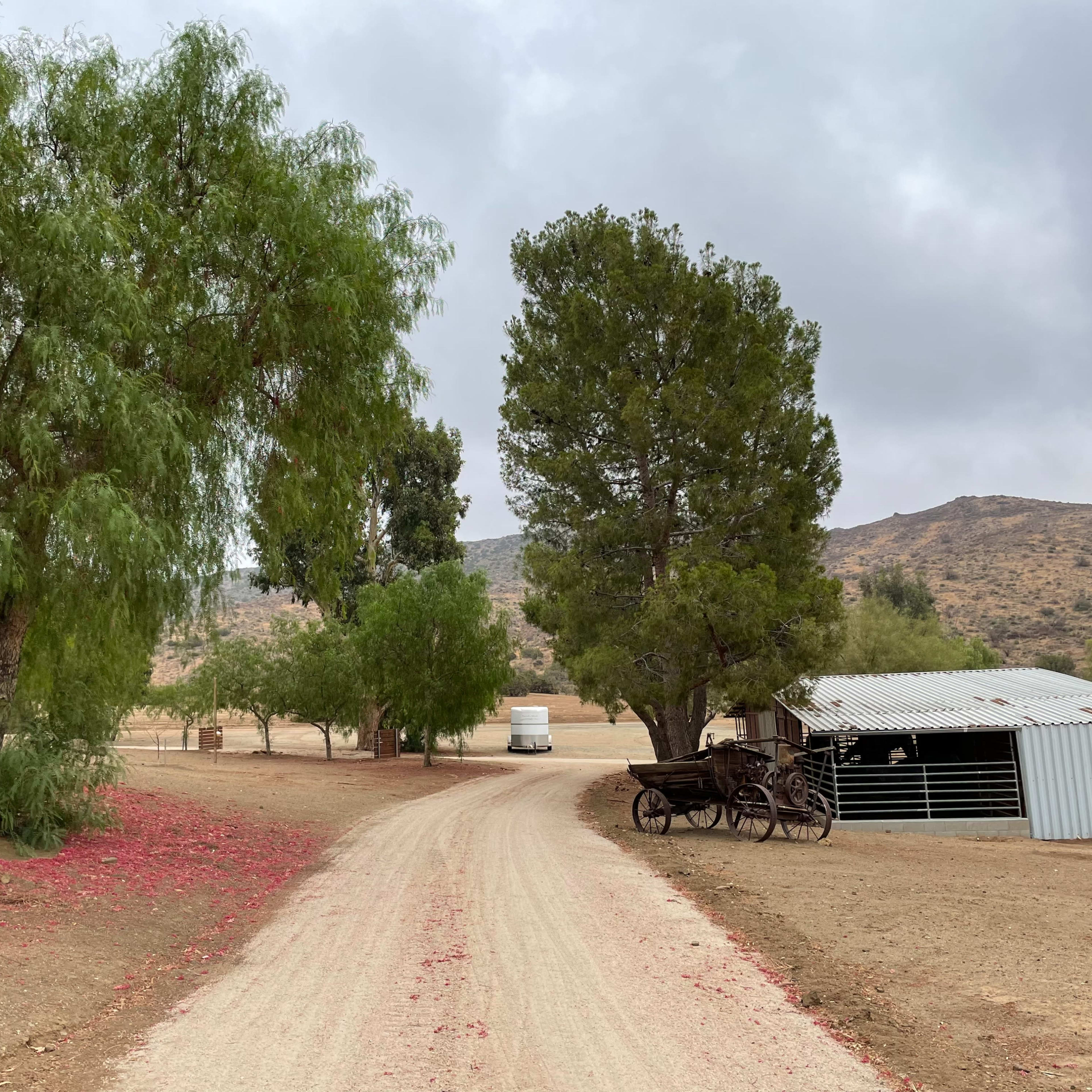 A dirt road winds through a rural landscape with trees on either side, leading to a corrugated metal shed and a wooden cart.