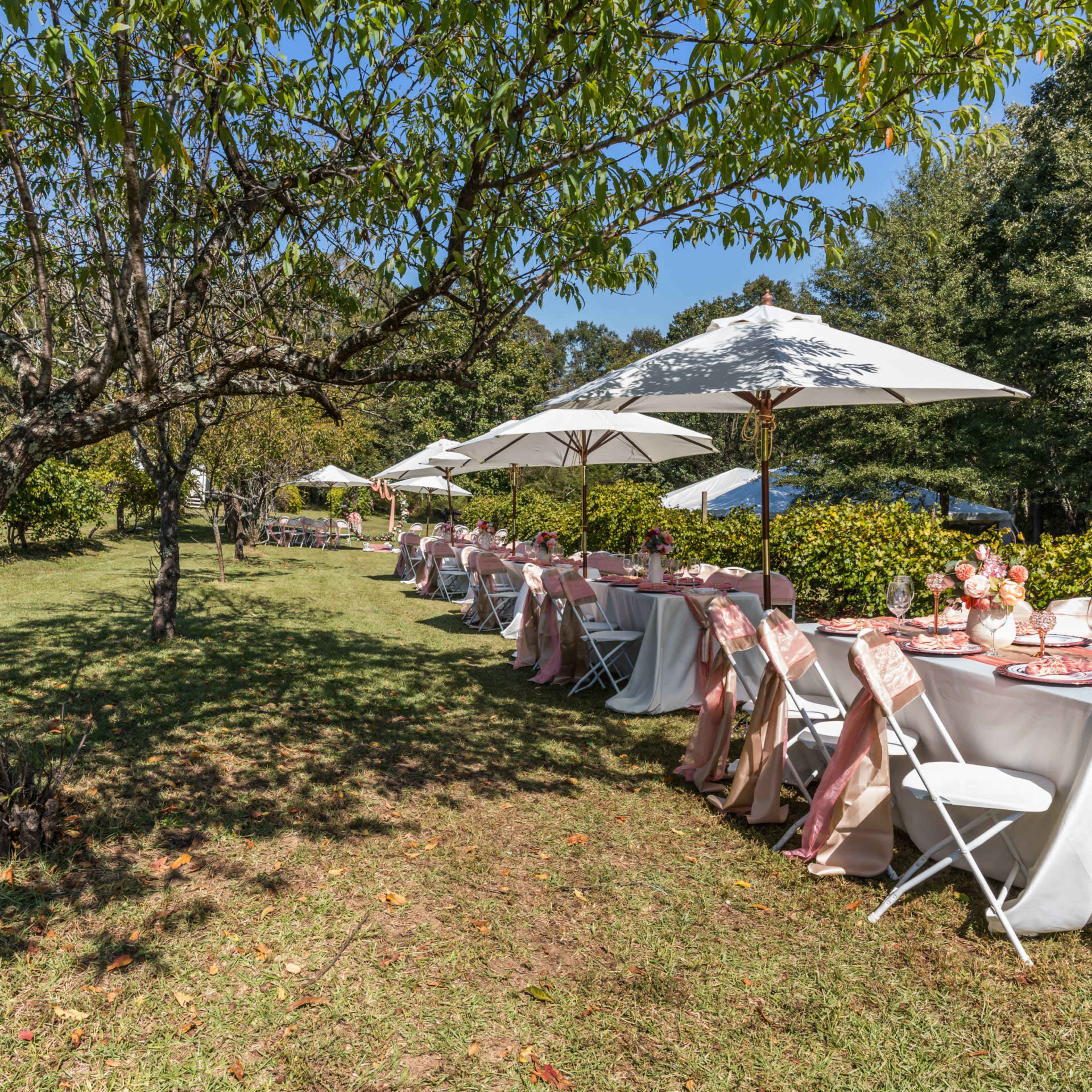 Private Vineyard Near Atlanta – Ideal for Weddings, Intimate Events & Celebrations Image in , Jonesboro, GA