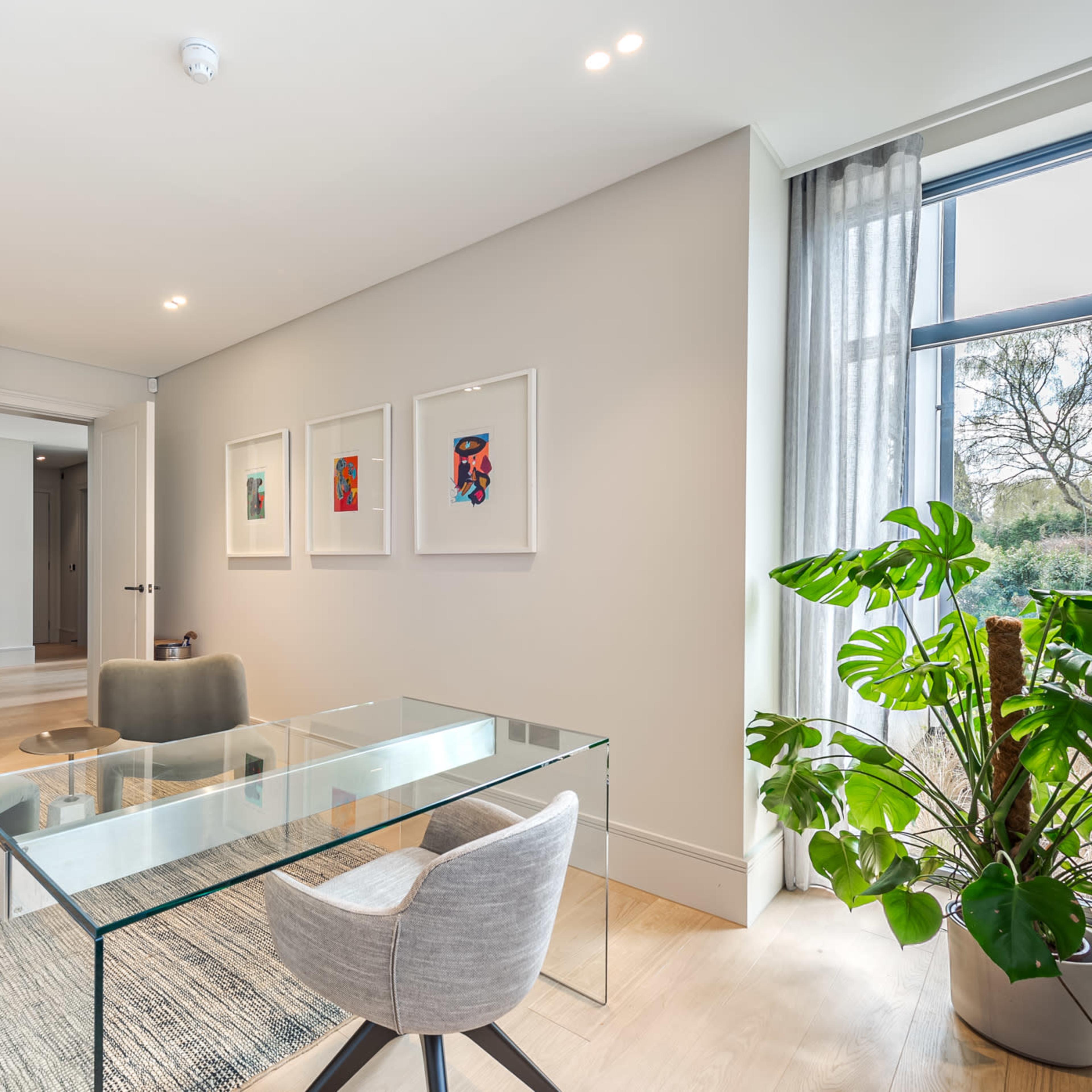 A modern office space featuring a glass table surrounded by upholstered chairs, a plant in the corner, and framed artwork on the walls.