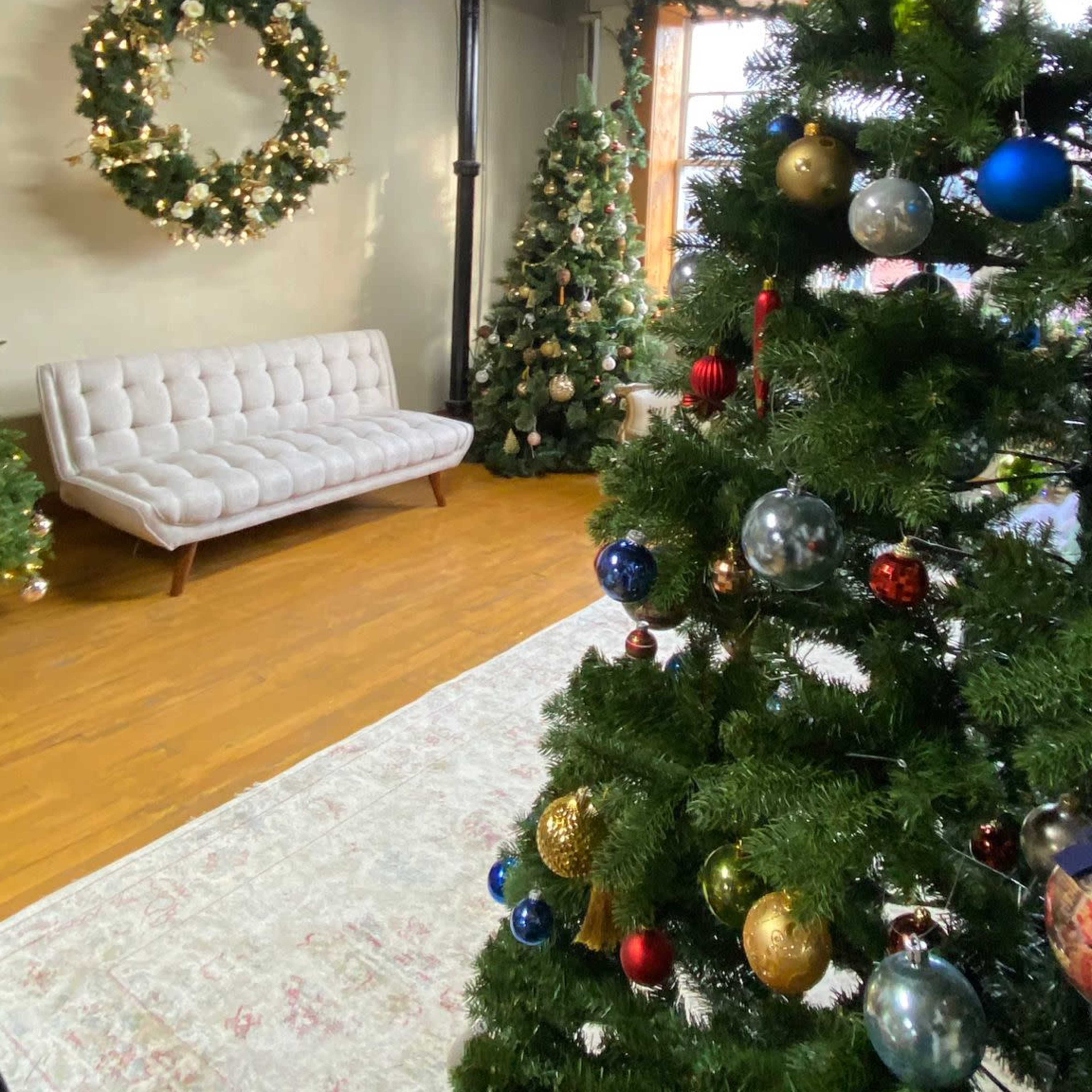 A cozy room decorated for Christmas, featuring a large Christmas tree, a smaller tree, a wreath on the wall, and a white couch.