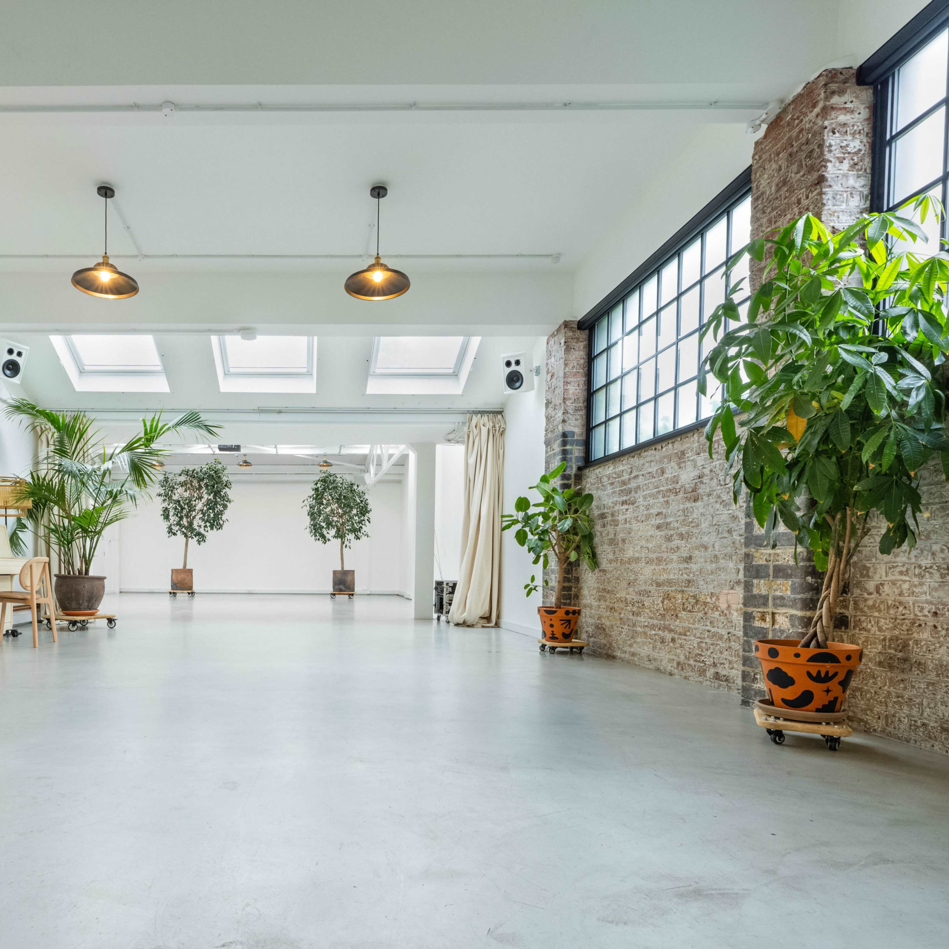 A spacious, bright room with a sofa, wooden coffee table, plants in pots, and large windows allowing natural light.