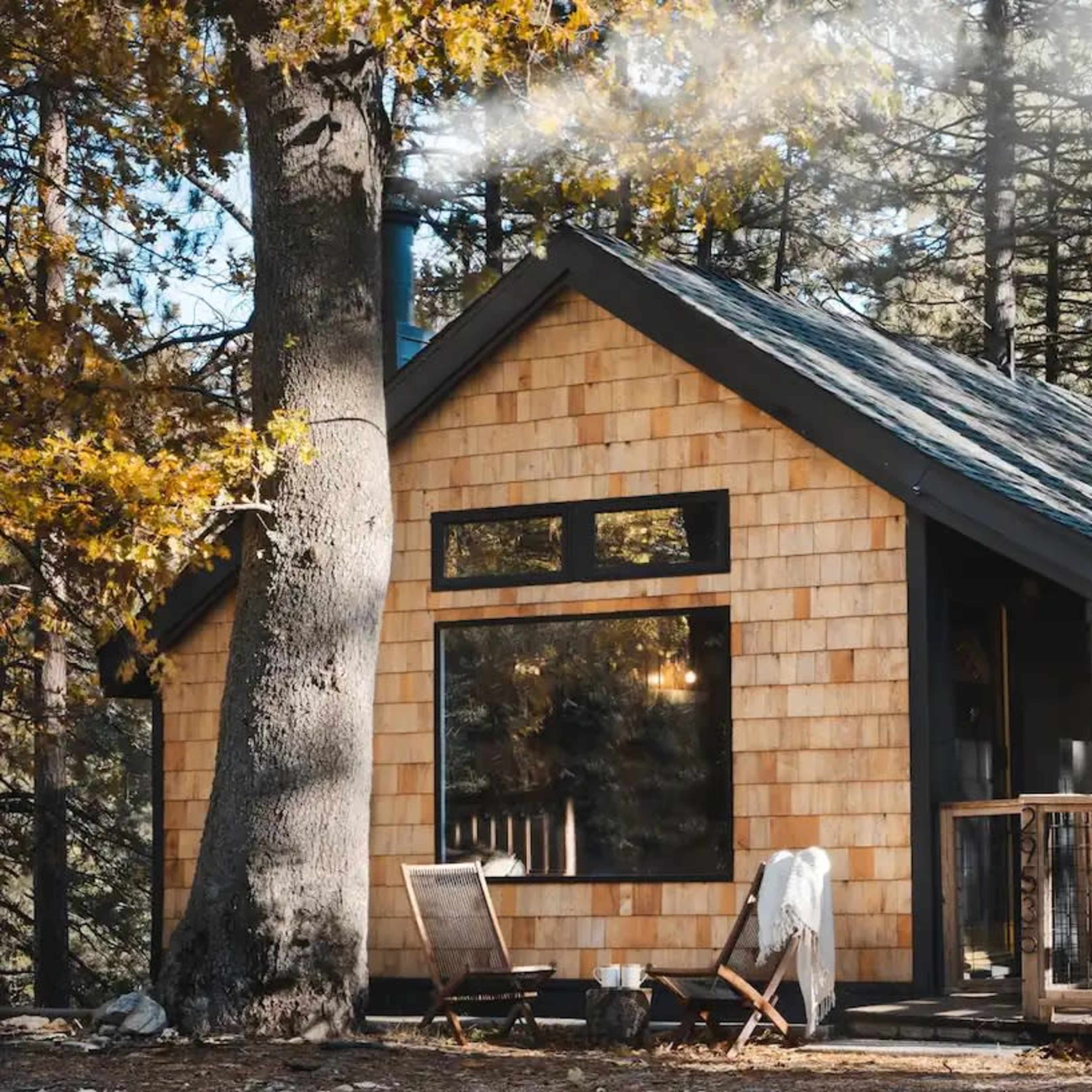 A wooden cabin with a sloped roof is nestled among trees and surrounded by autumn foliage.