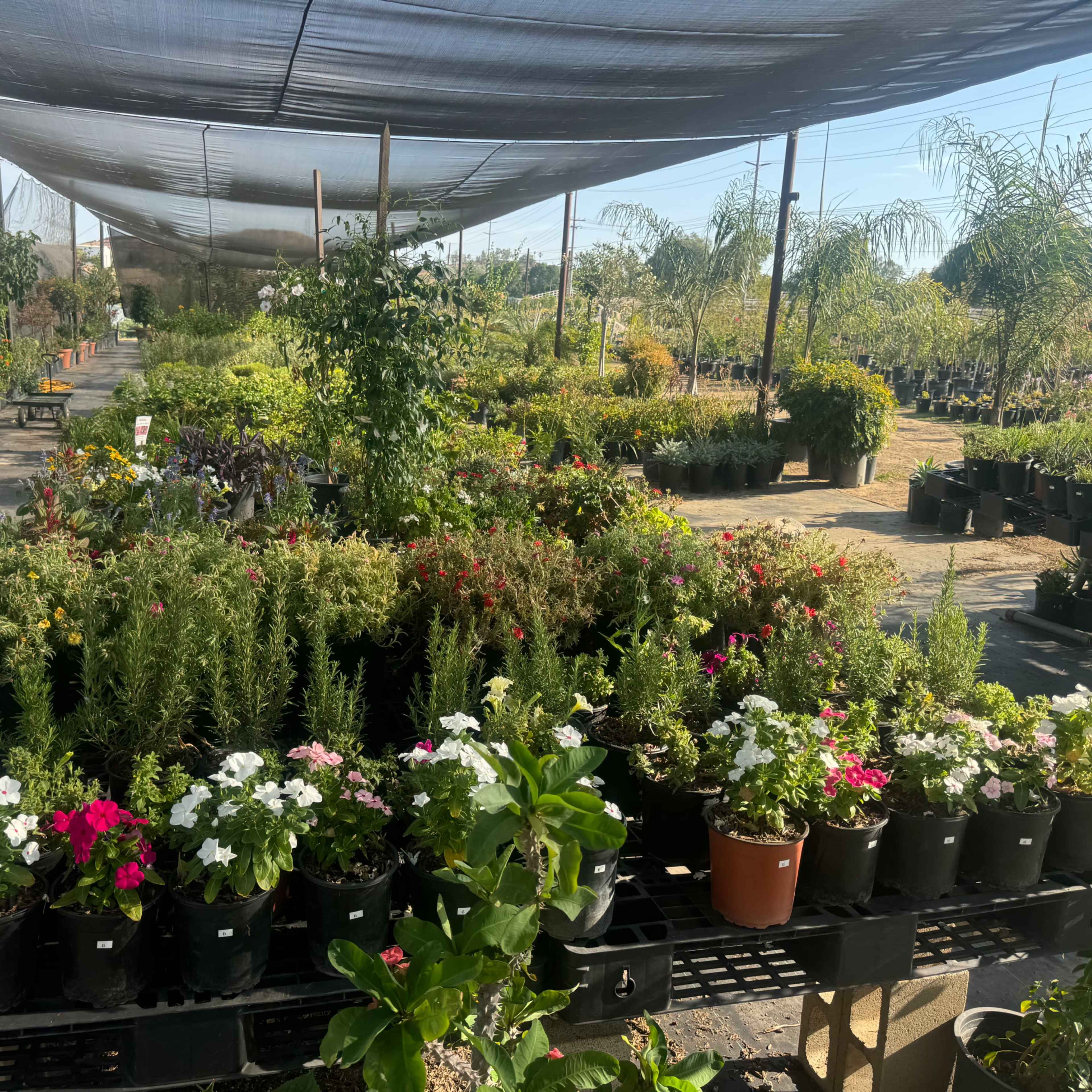 Rural feel - country/desert land with a plant nursery! Image in , Menifee, CA