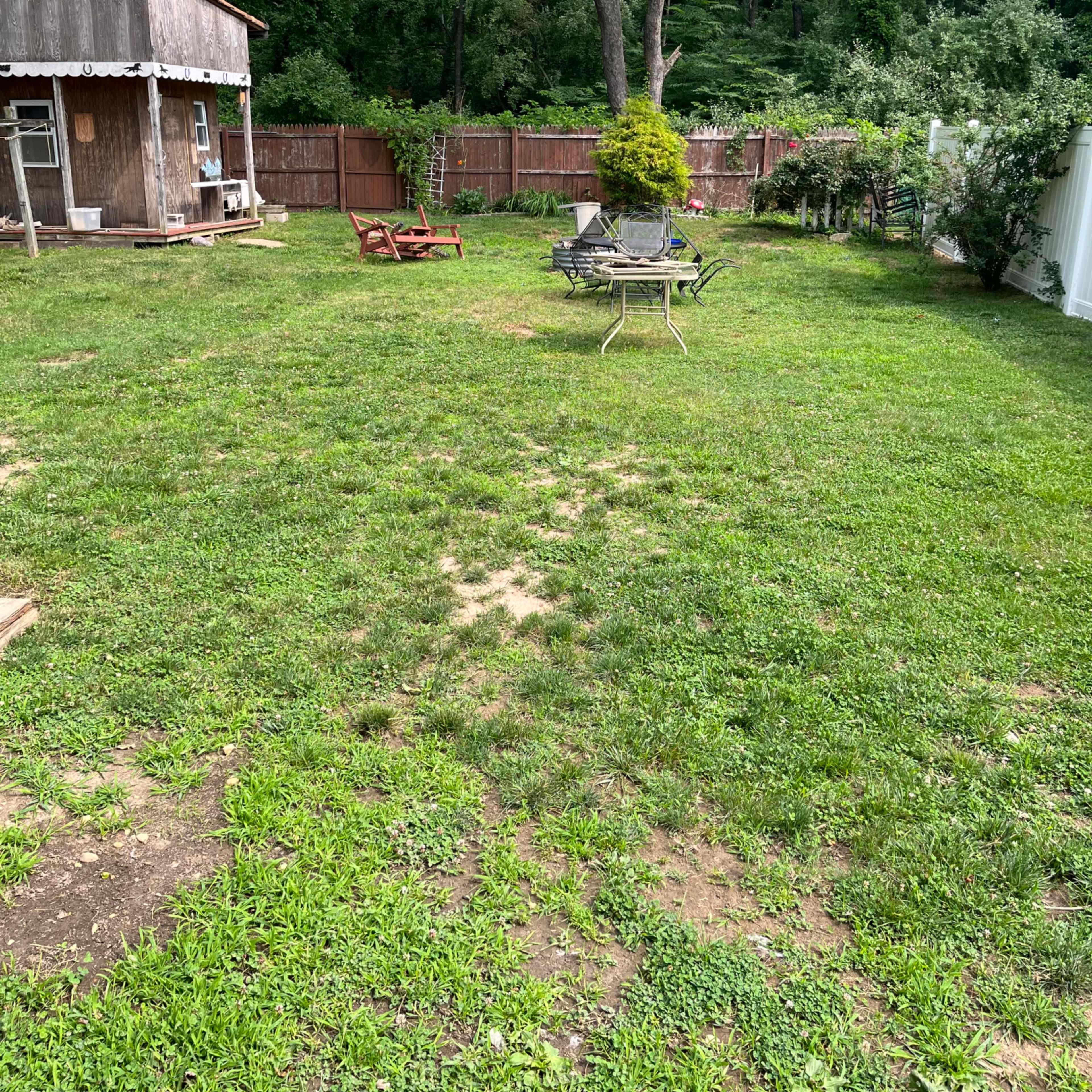 A grassy backyard with a wooden shed, a patio table and chairs, and a few trees along the perimeter.