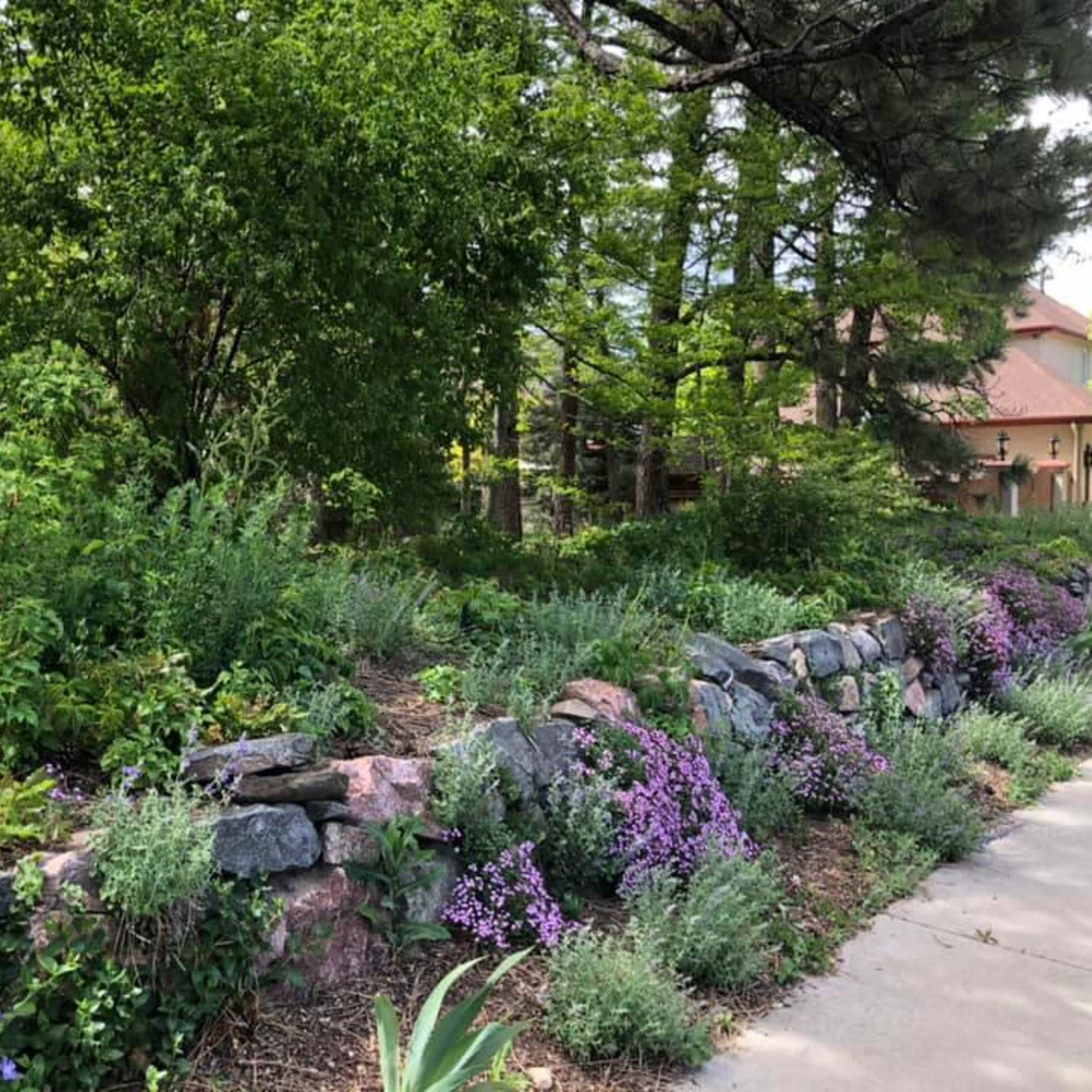 A stone retaining wall separates a lush garden filled with various plants and purple flowers from a concrete path.