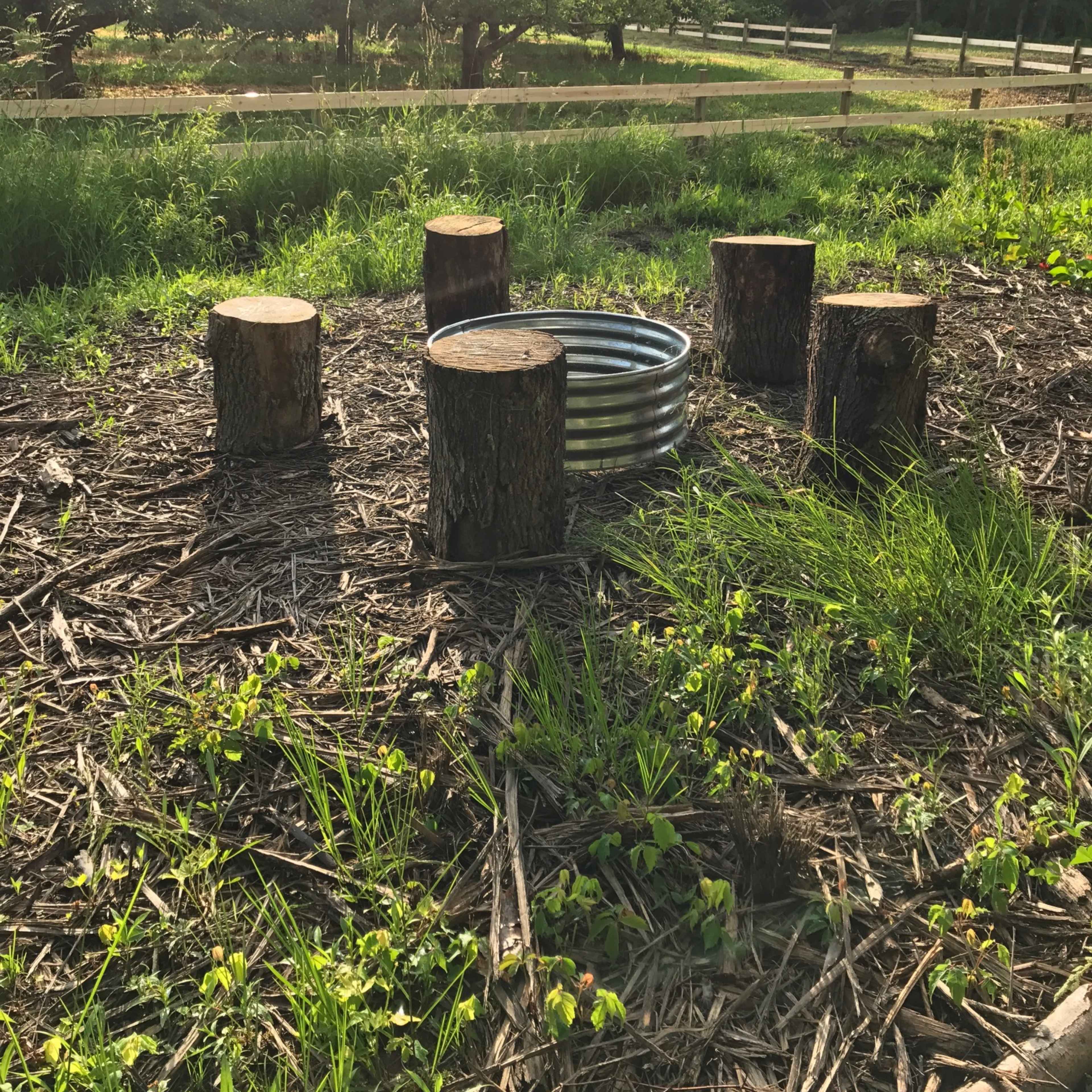 A metal fire pit surrounded by five wooden stumps in a grassy area.