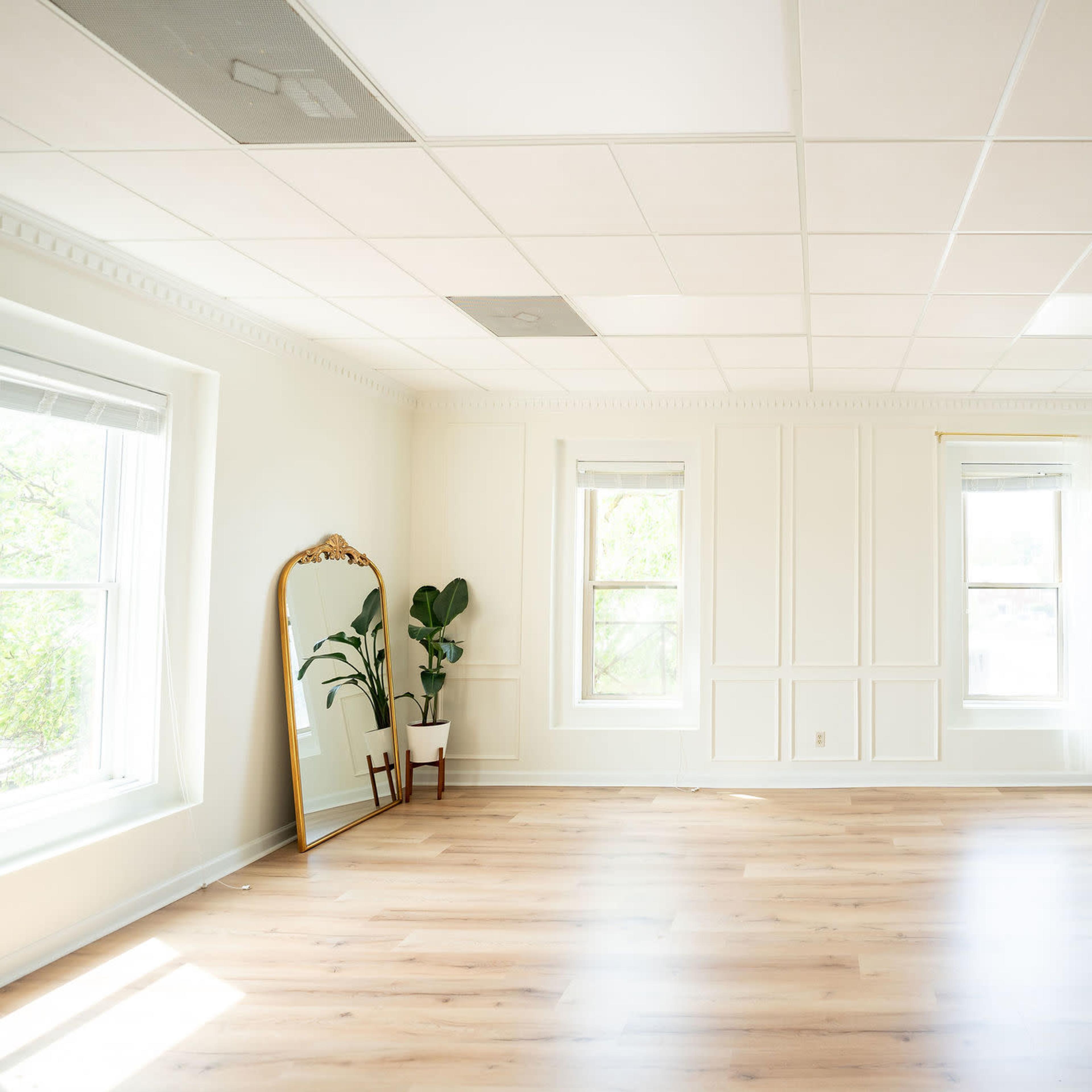 A spacious, well-lit room with large windows, white walls, and light wooden flooring, featuring a mirror and potted plants in the corners.