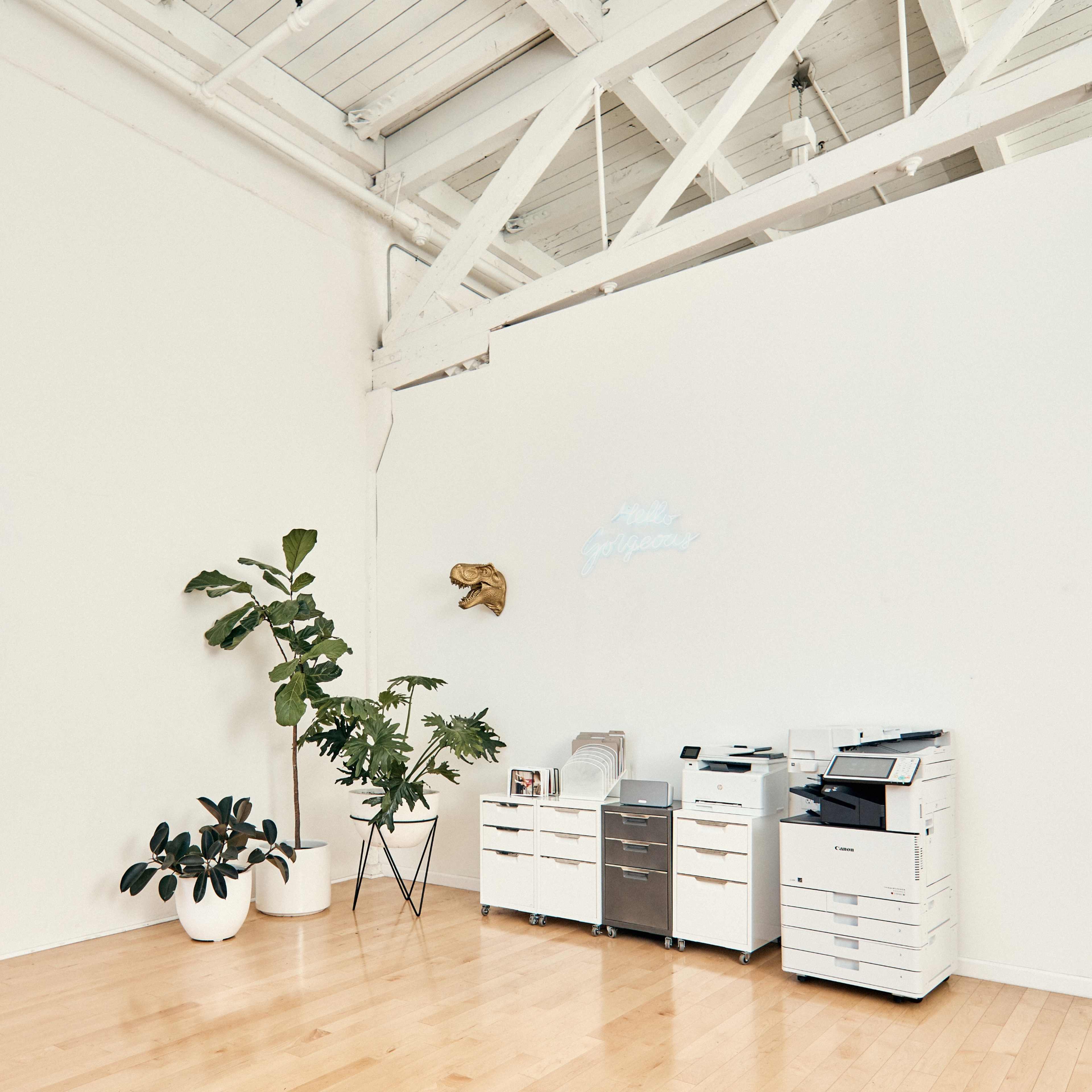 A minimalist office space with two plants and a photocopy machine against a white wall.