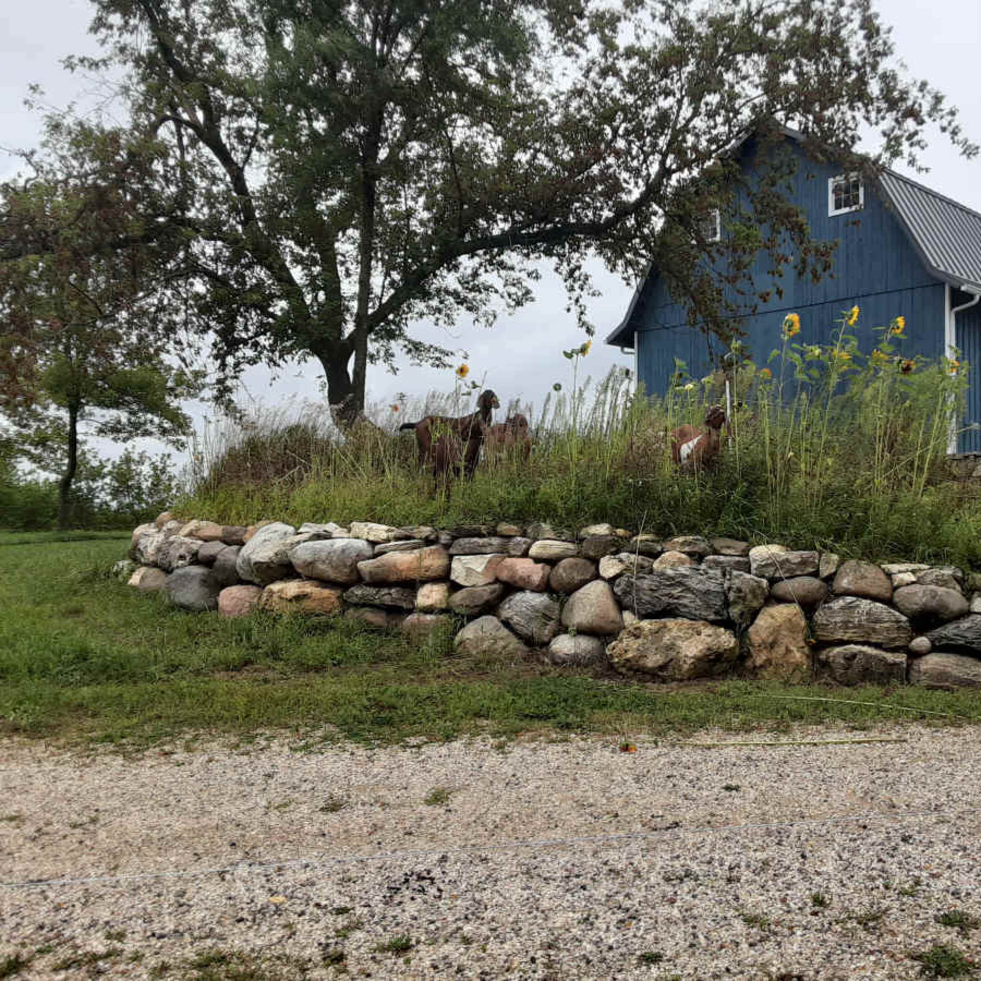 Rural Retreat with Idyllic Views Image in Genesee, Mukwonago, WI