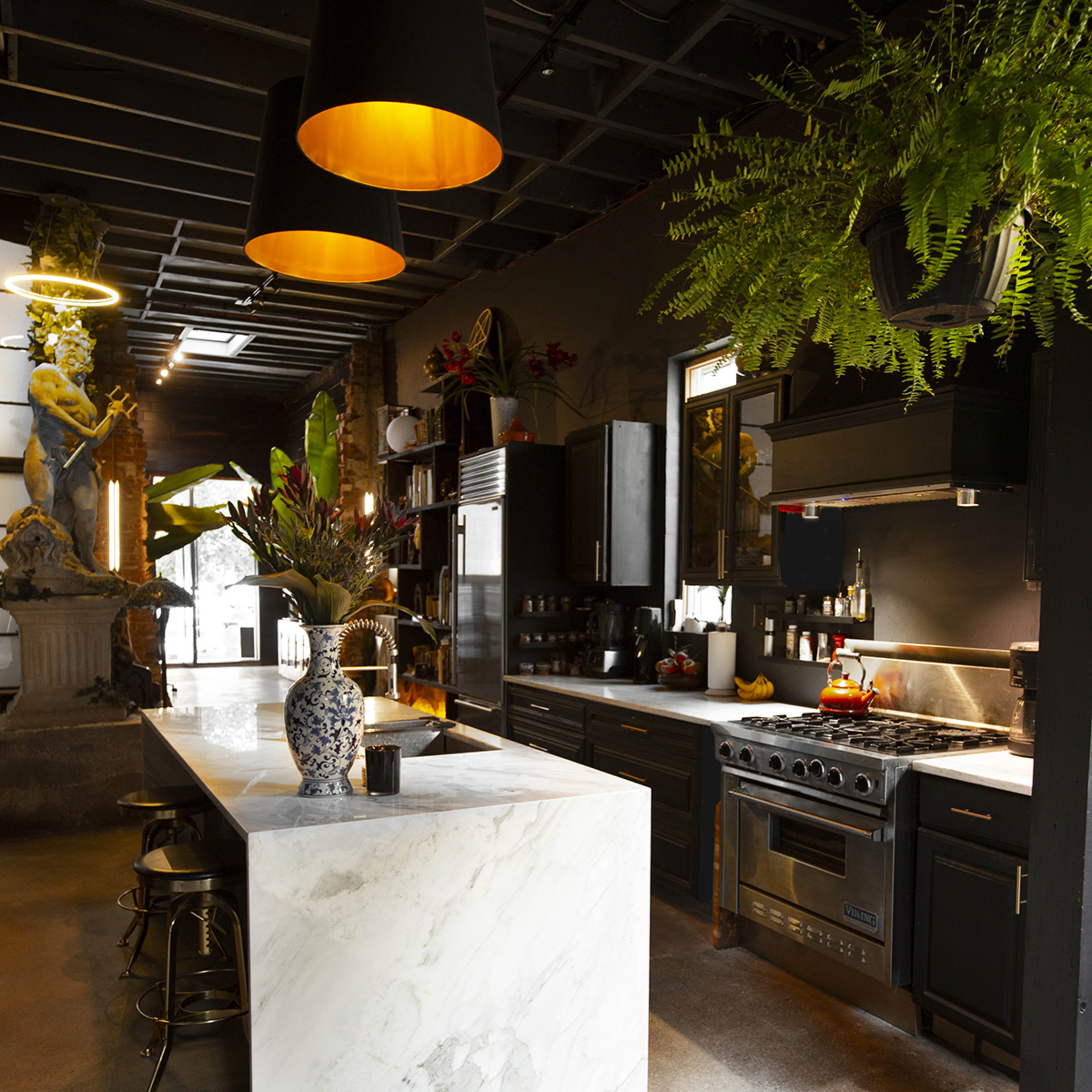 The kitchen features a spacious marble island, dark cabinetry, modern appliances, and a variety of indoor plants.