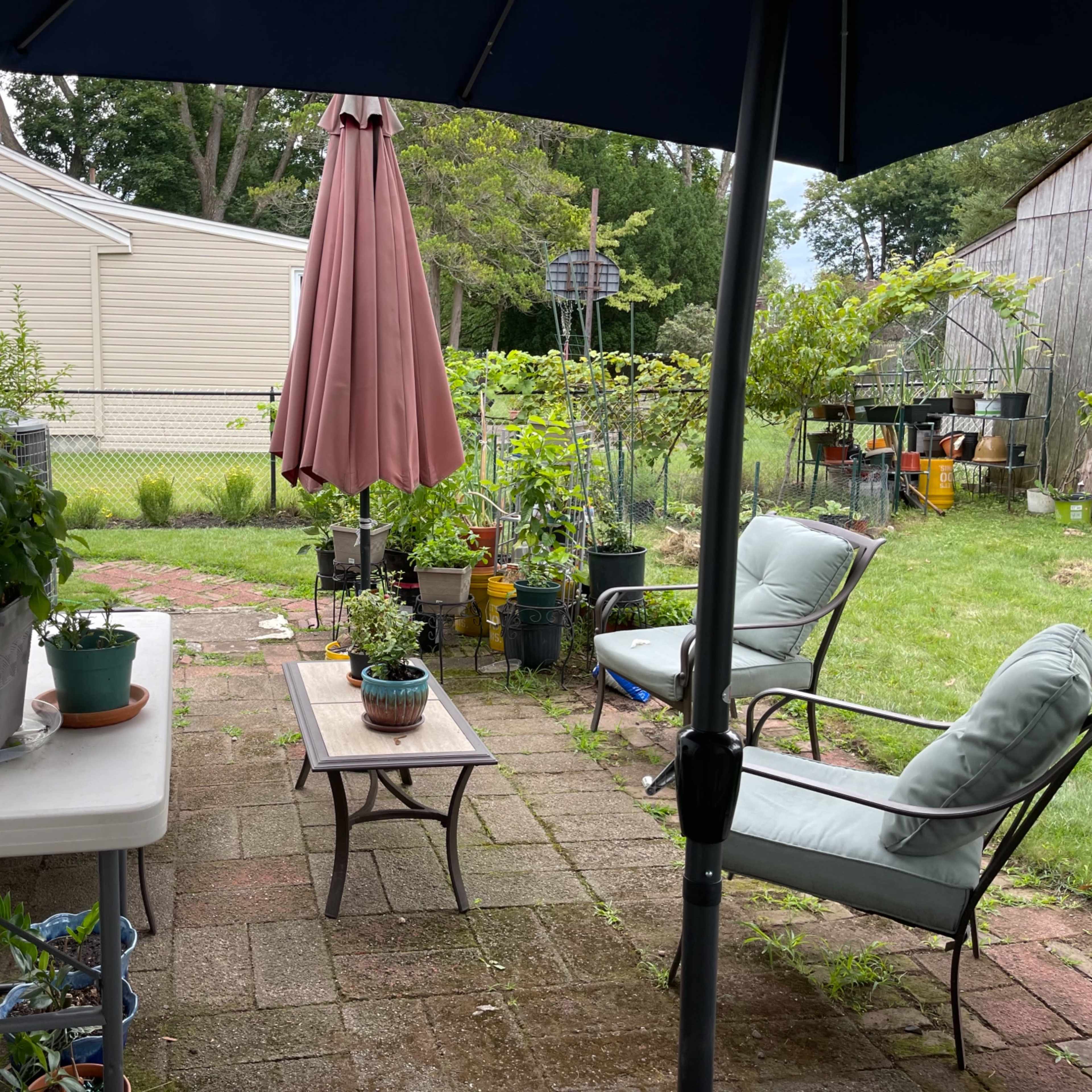 A patio area with potted plants, a table, and chairs, surrounded by a fence and small garden structures.