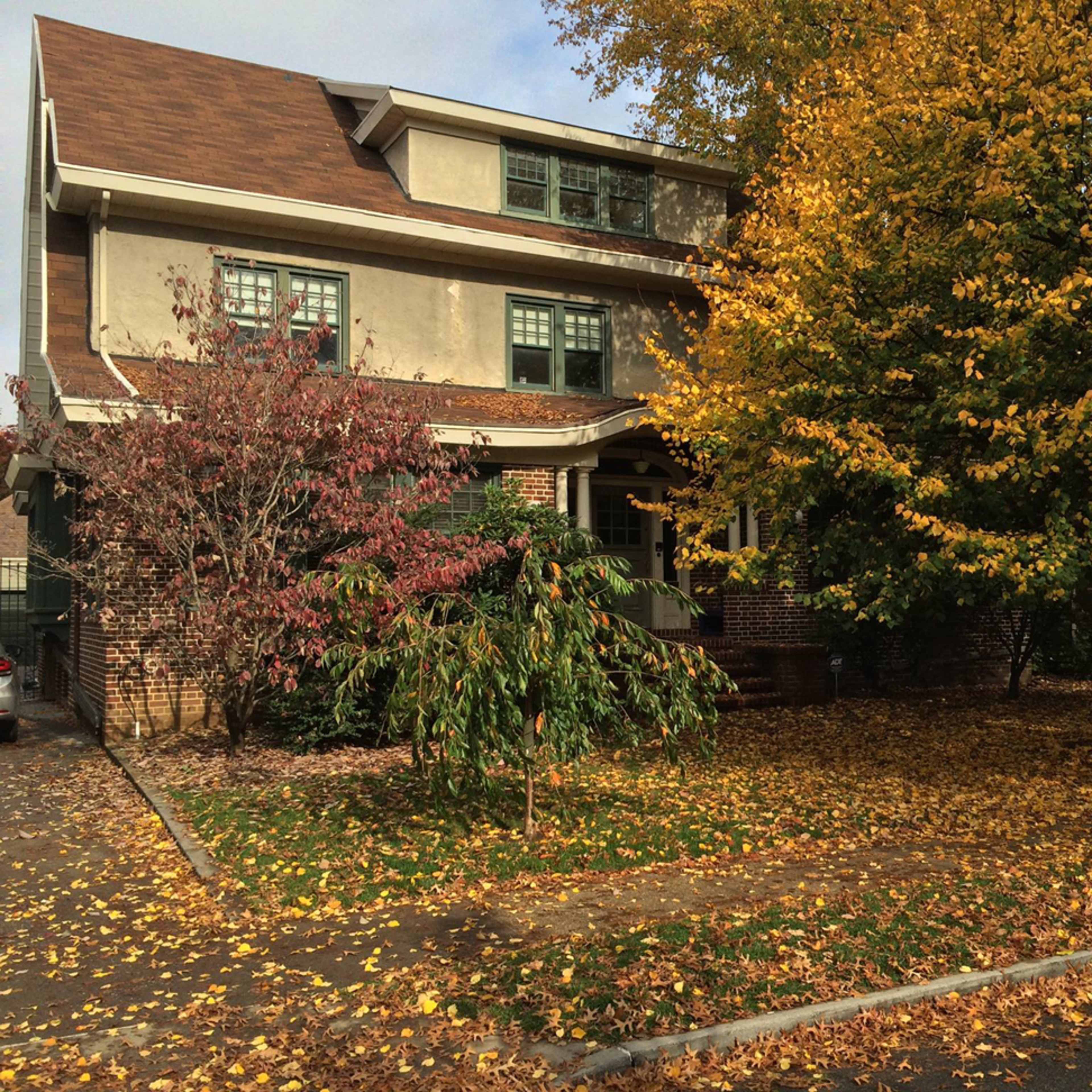 Big Brooklyn House Image in Flatbush, Brooklyn, NY