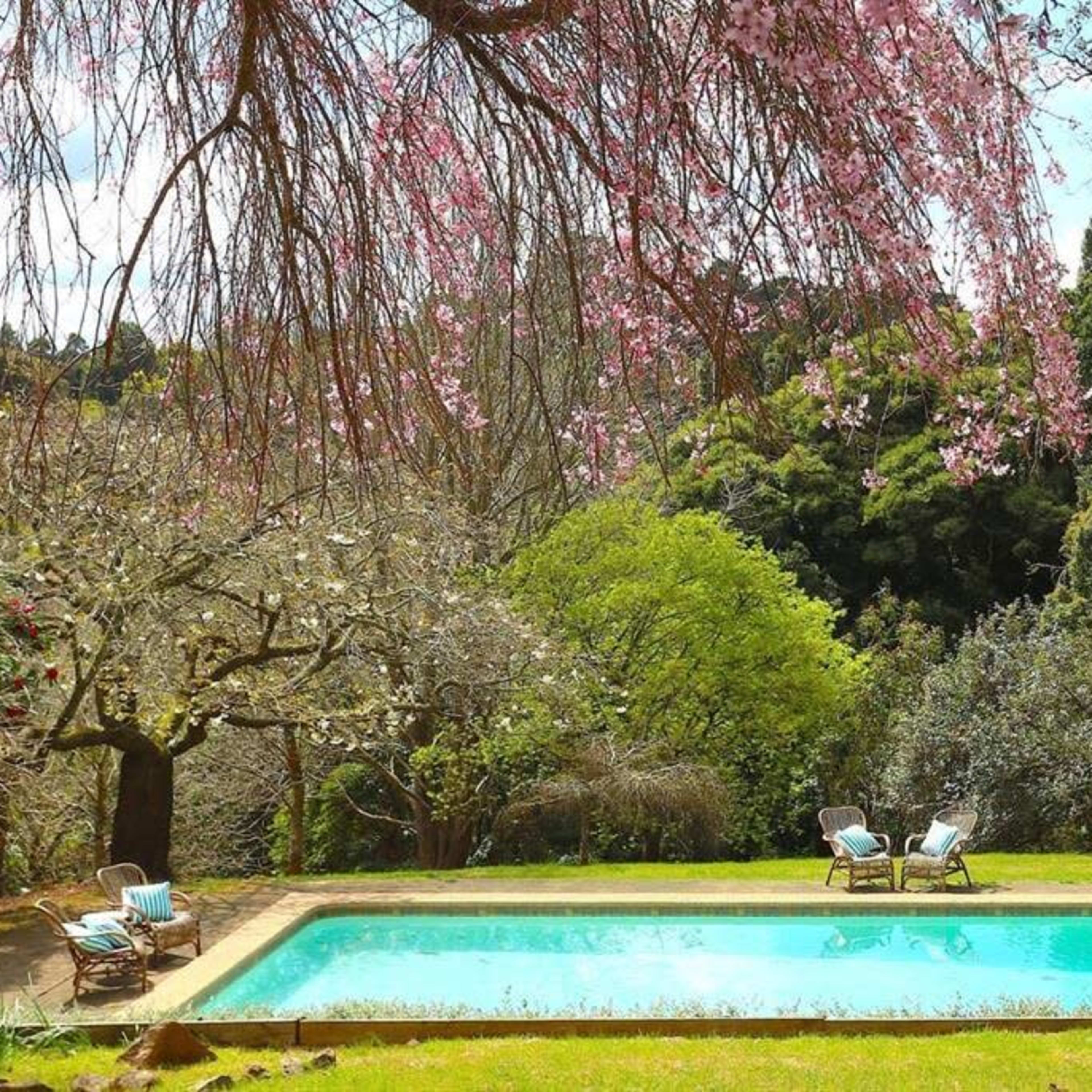 A serene swimming pool is surrounded by lush greenery and blooming trees.