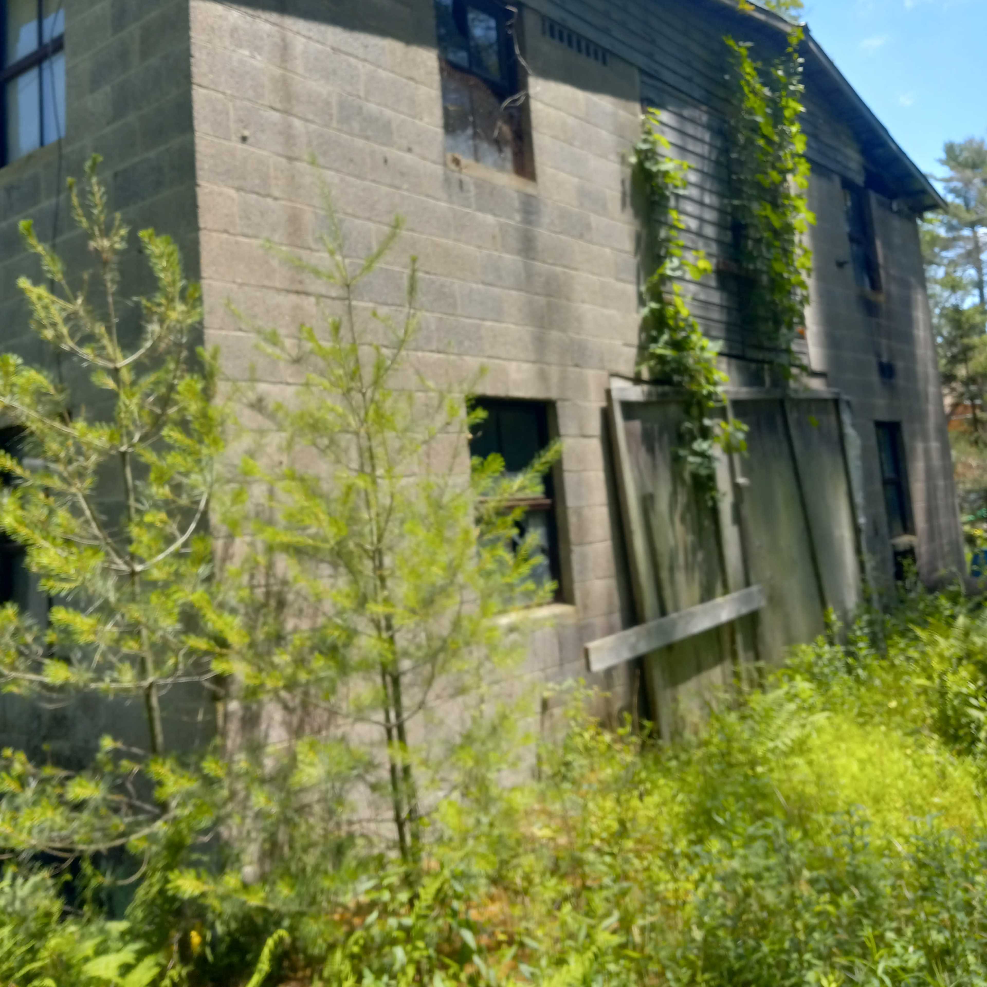 An abandoned concrete building covered in vines, with broken windows and surrounded by overgrown vegetation.