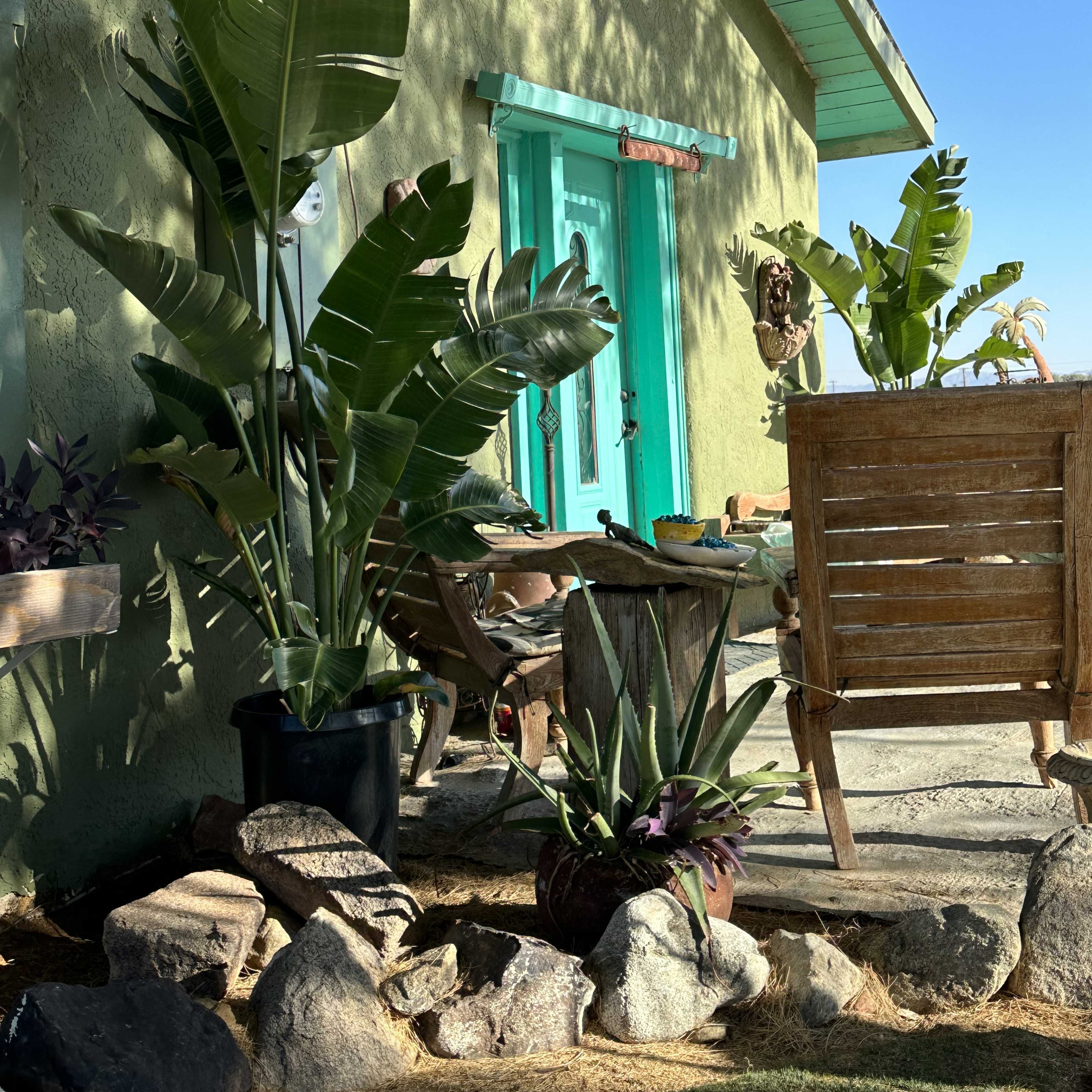 A green house with a turquoise door, surrounded by potted plants and outdoor furniture on a sunny day.