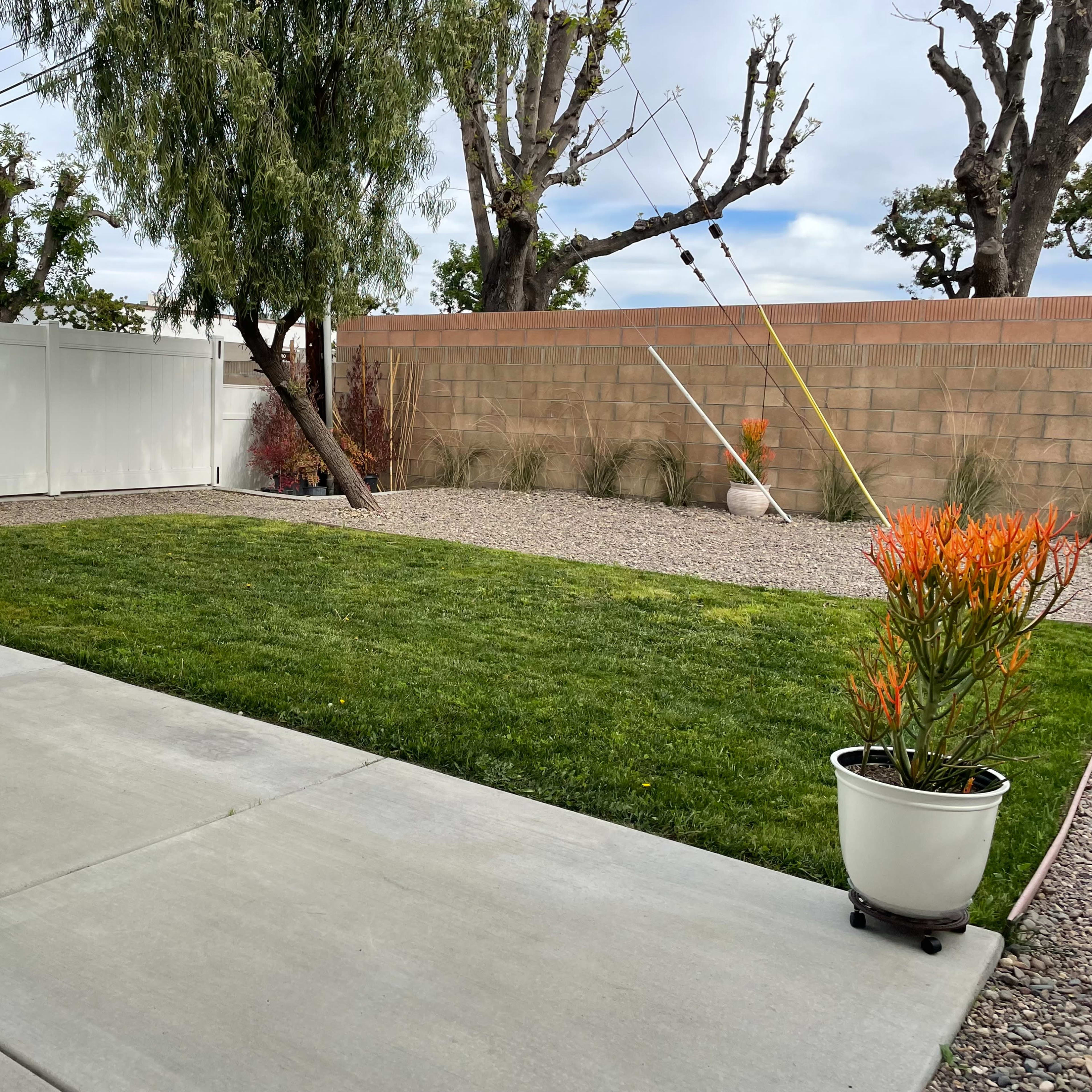 A landscaped backyard with a neatly maintained lawn, surrounded by a gravel area and bordered by a white fence.