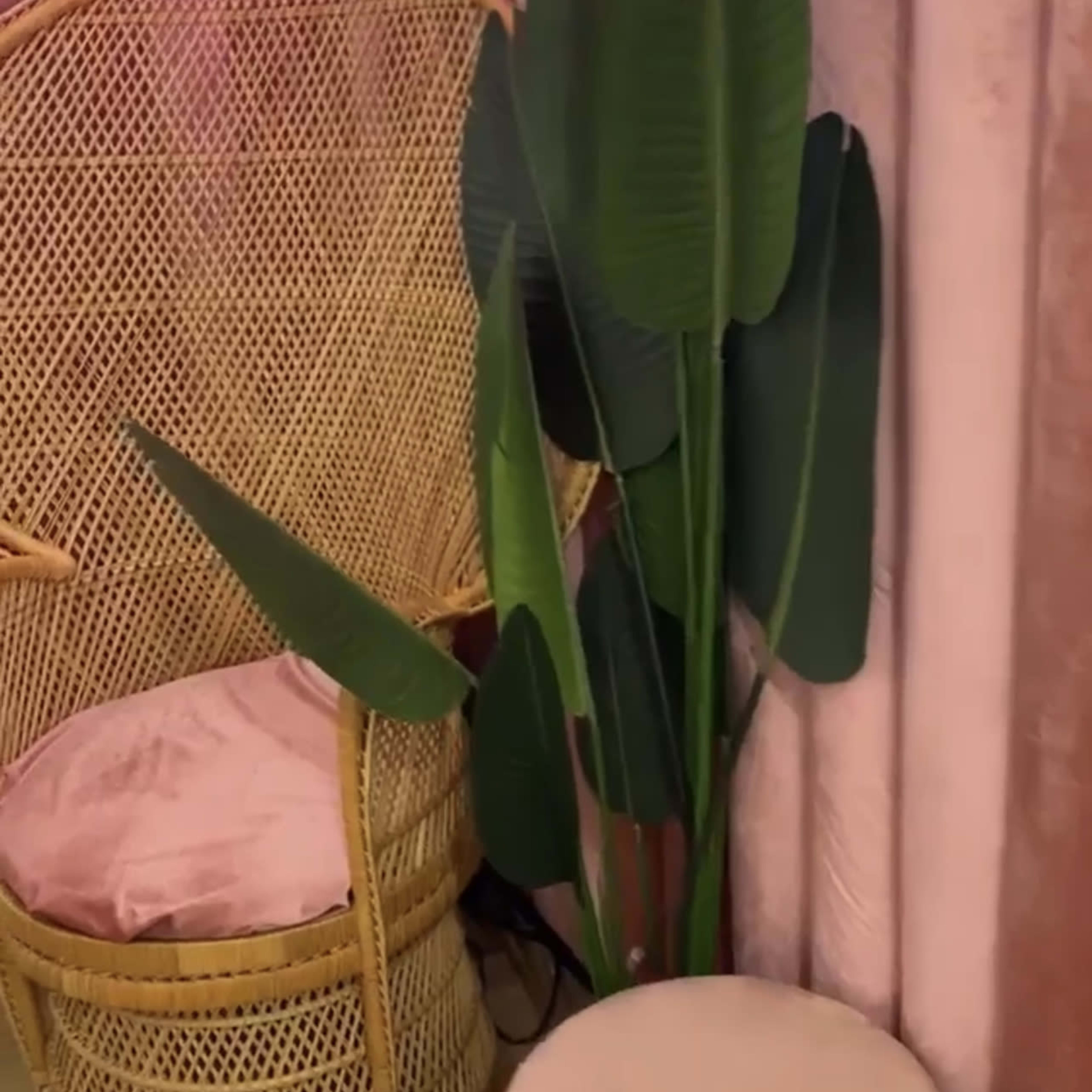 A rattan chair with a pink cushion sits next to a large green plant under a neon sign that reads "GLAM."