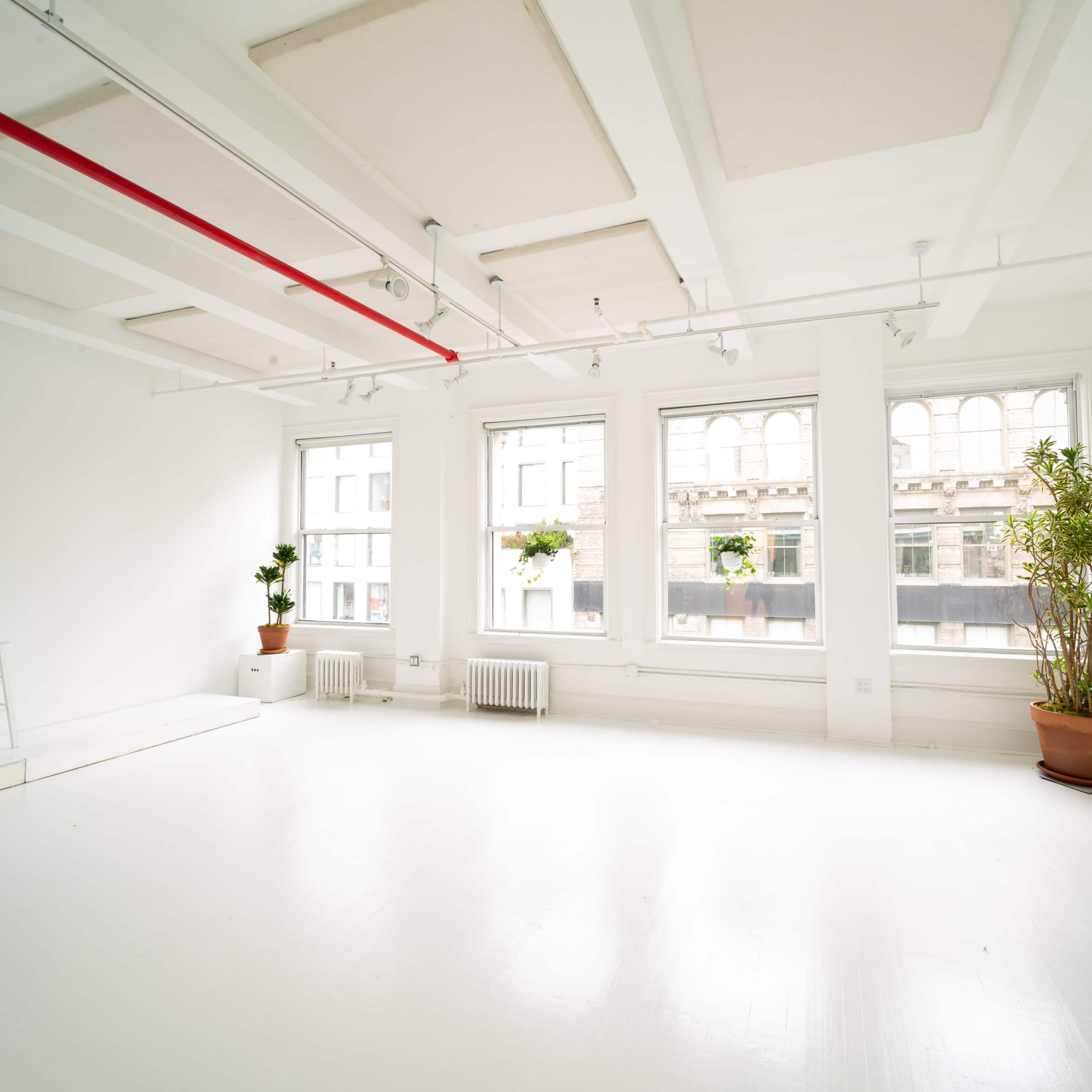 A bright, empty room with white walls and floors, featuring large windows with plants in pots on the sills.