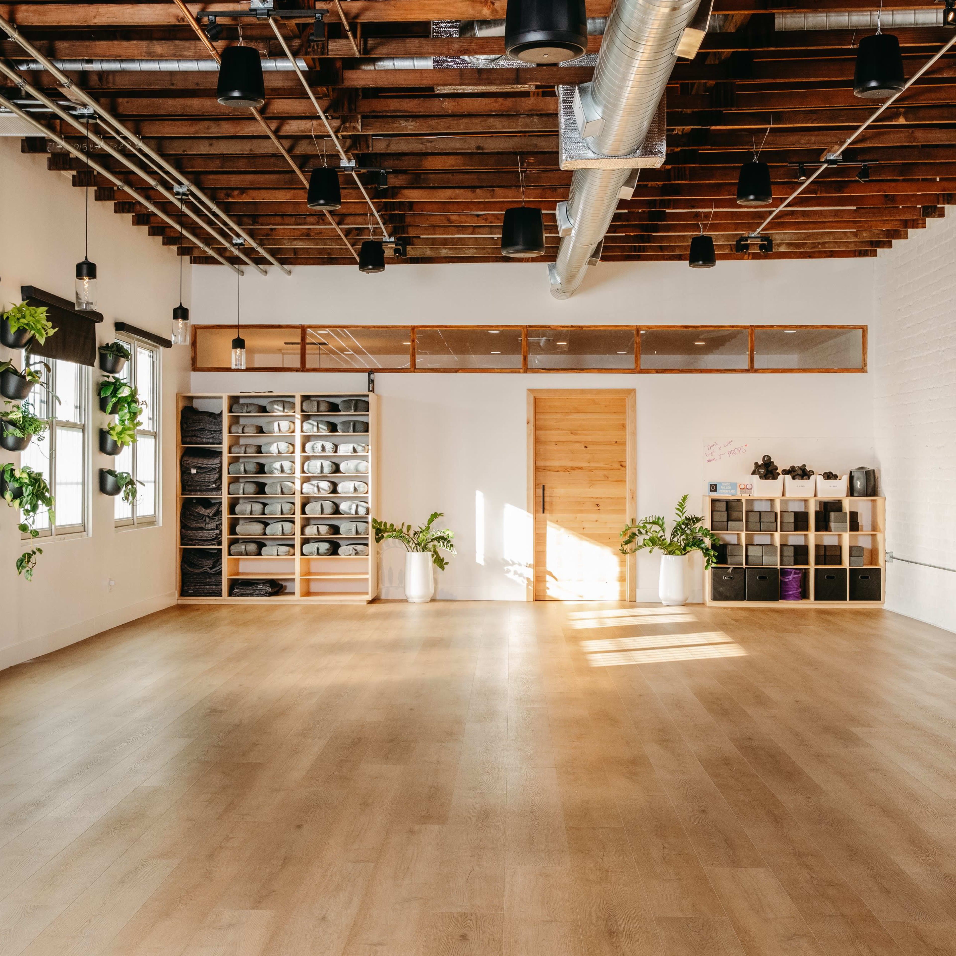 A spacious, well-lit room with high wooden beams, plants on the walls, and shelves filled with items.