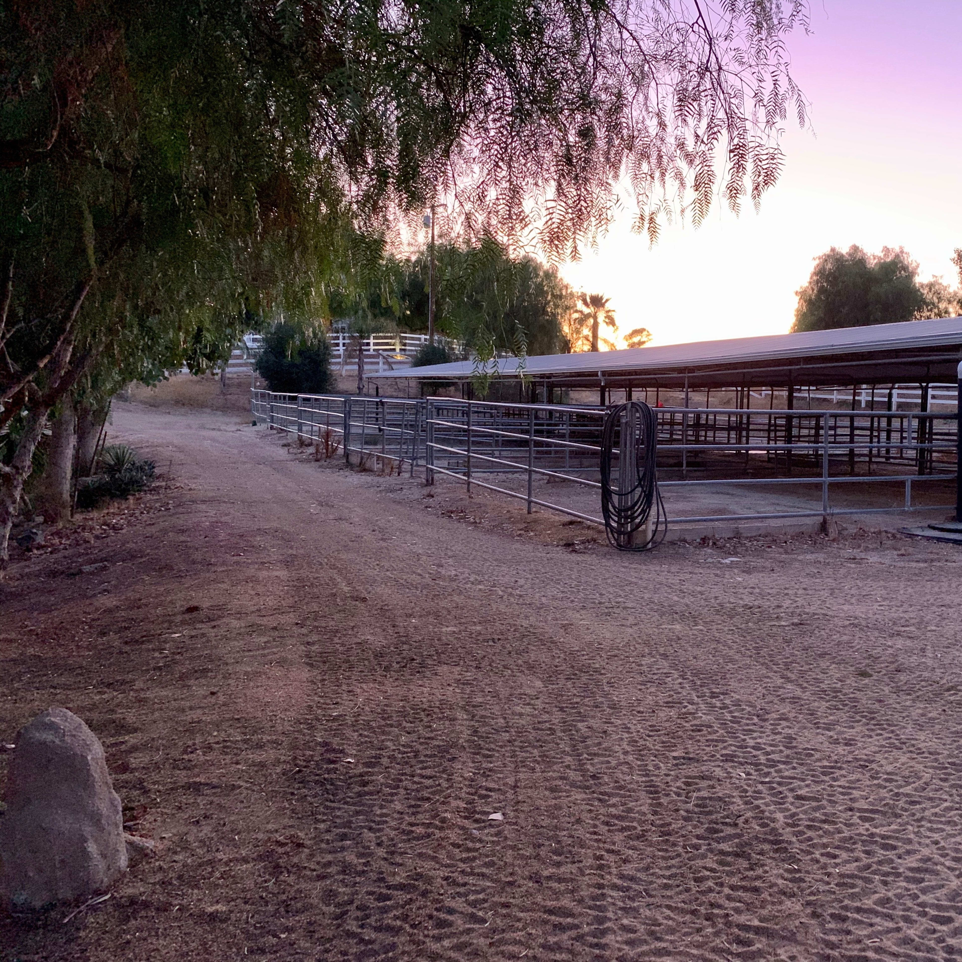 A dirt path leads to a covered horse barn surrounded by trees at dusk.