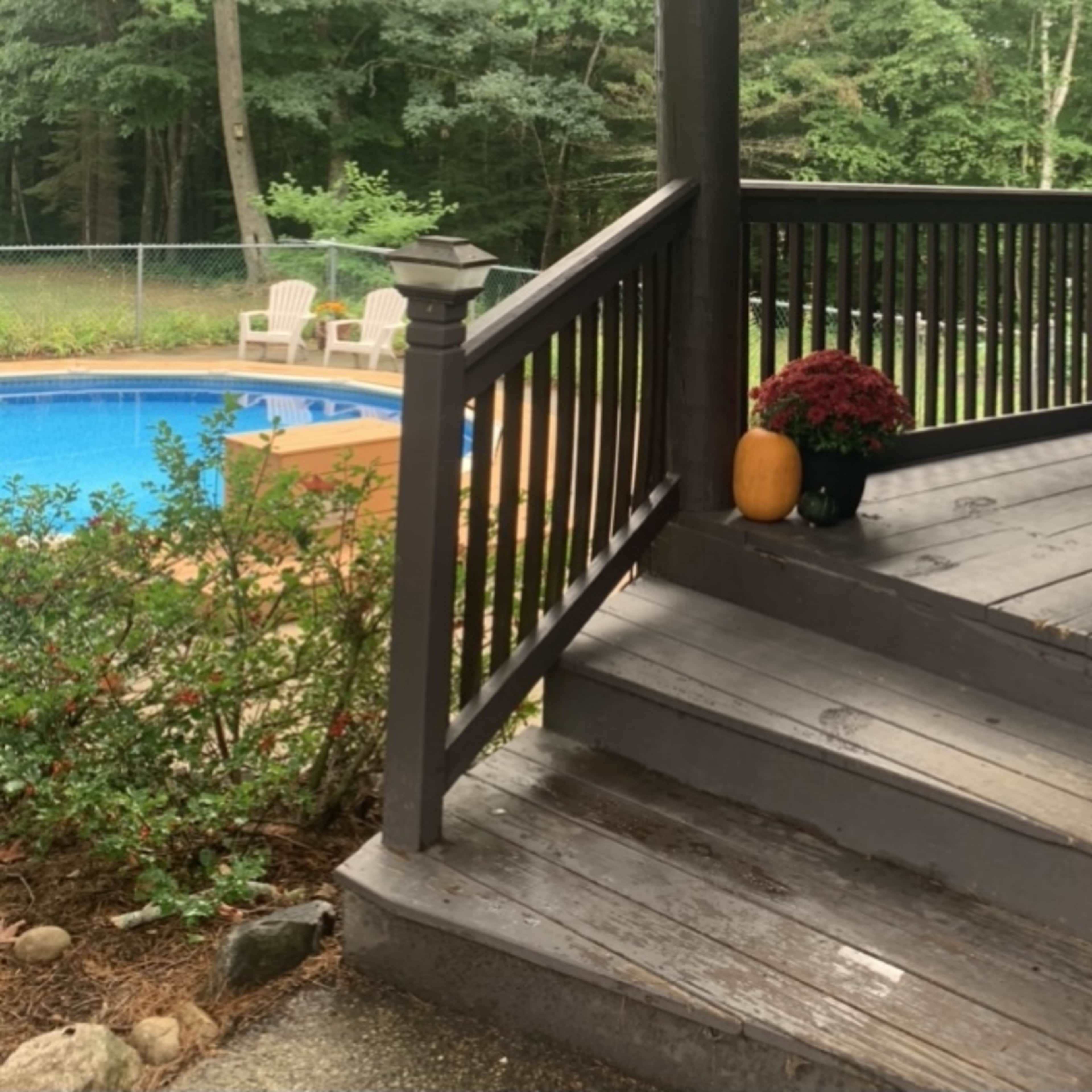 A small porch leads down to a pool area surrounded by trees, with a potted plant and a pumpkin on the steps.