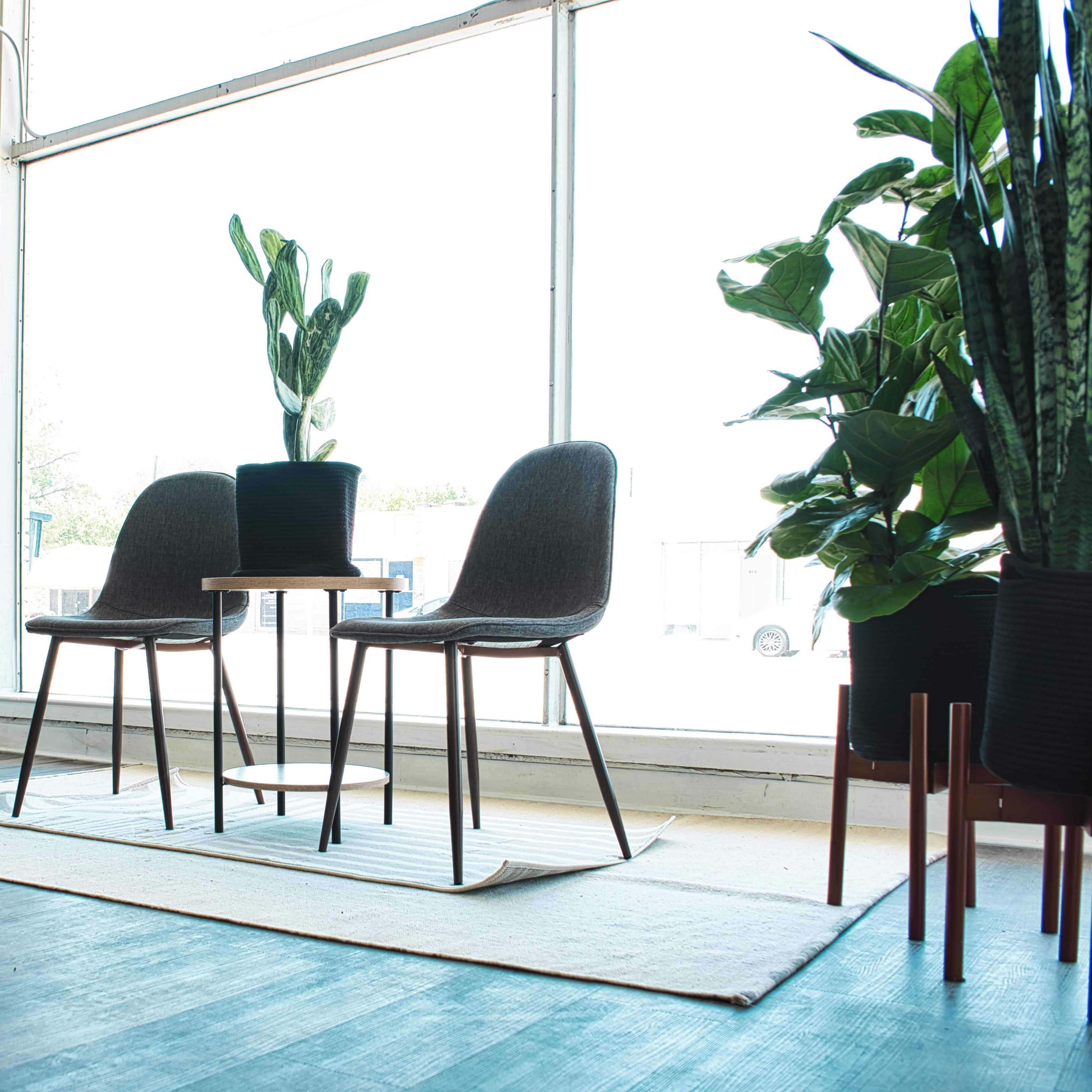 Two chairs and a small table positioned on a rug near a large window with potted plants nearby.