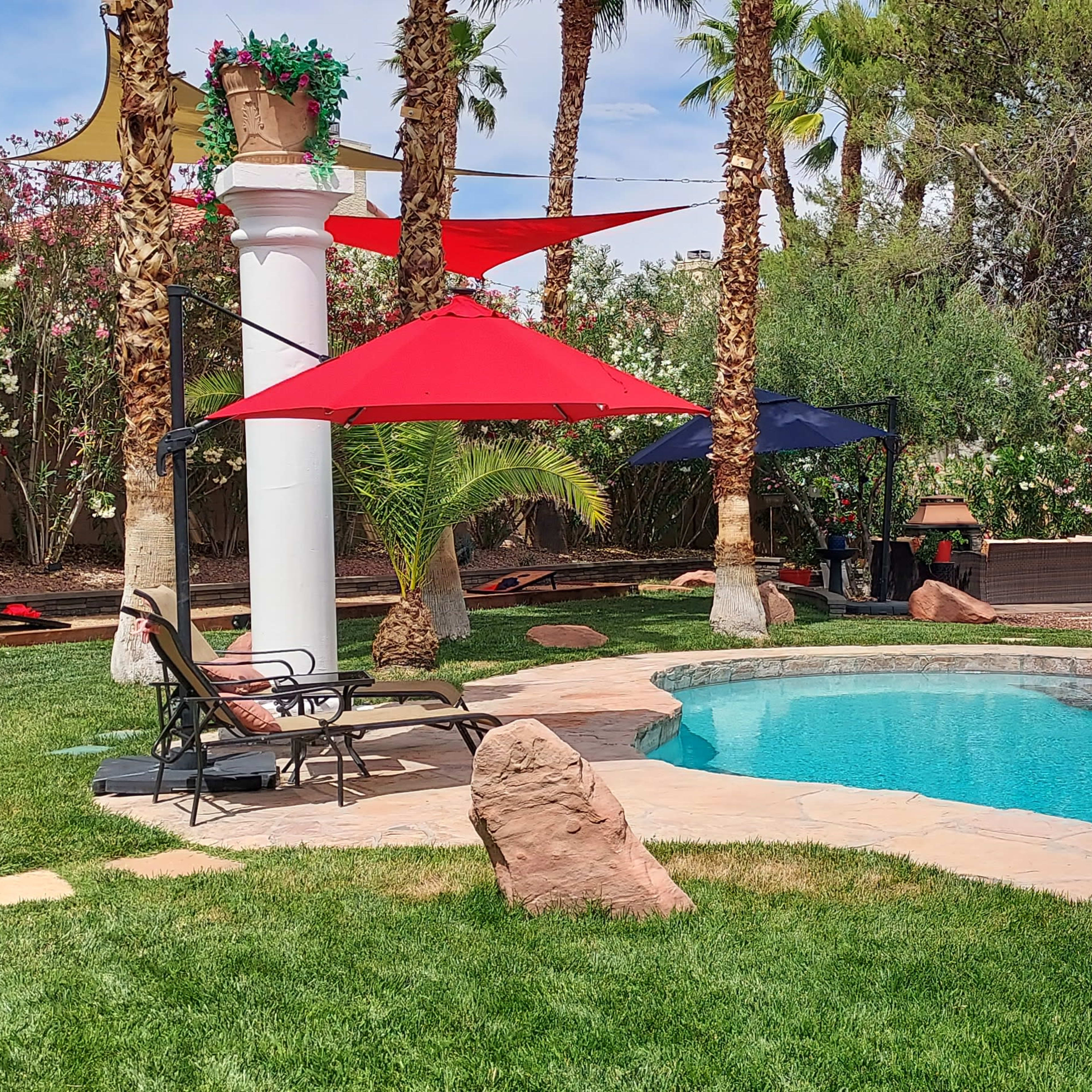 A landscaped backyard featuring a swimming pool surrounded by palm trees, lounge chairs, and shaded areas with red umbrellas.
