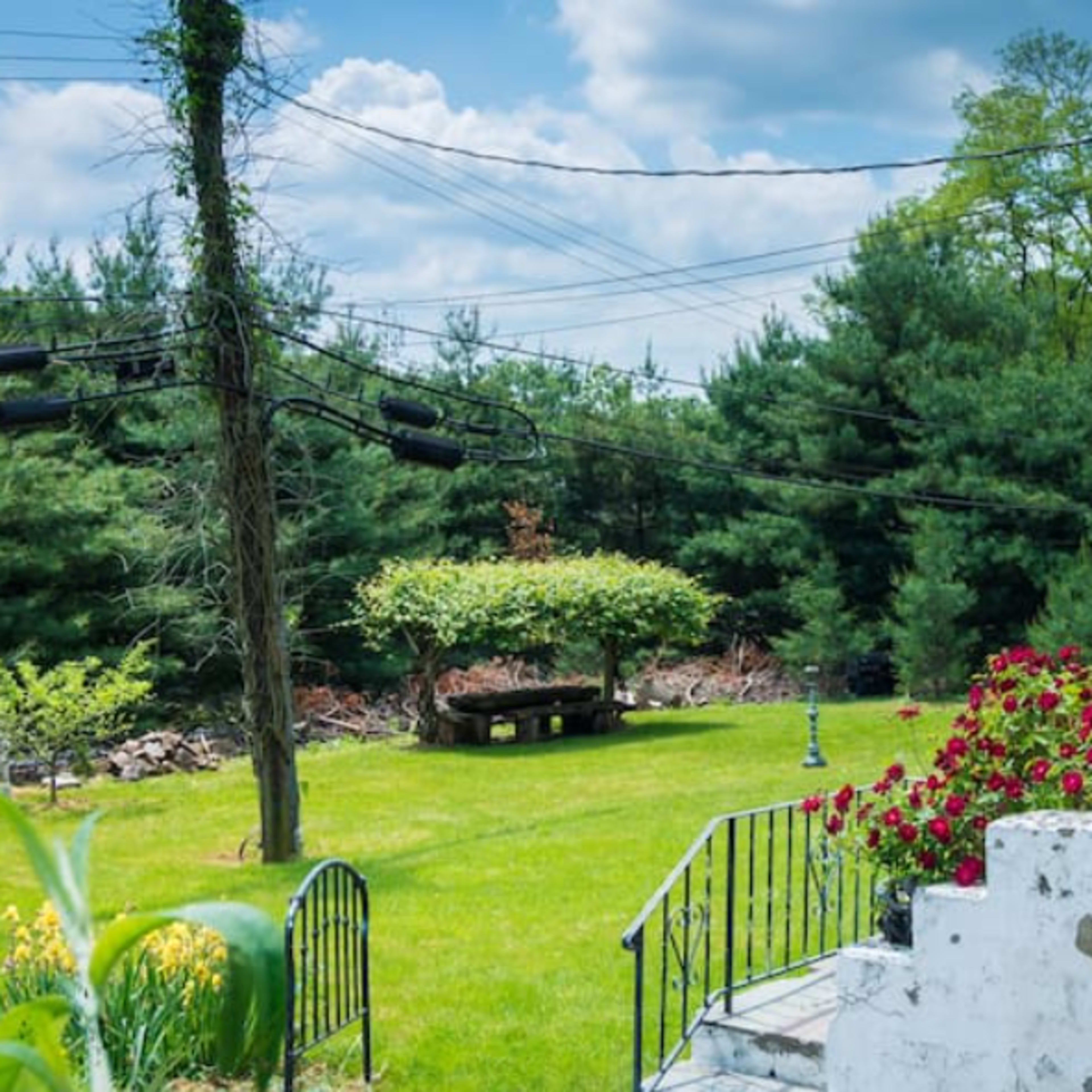 A grassy backyard features a stone table under a canopy of trees, surrounded by blooming flowers and overhead power lines.