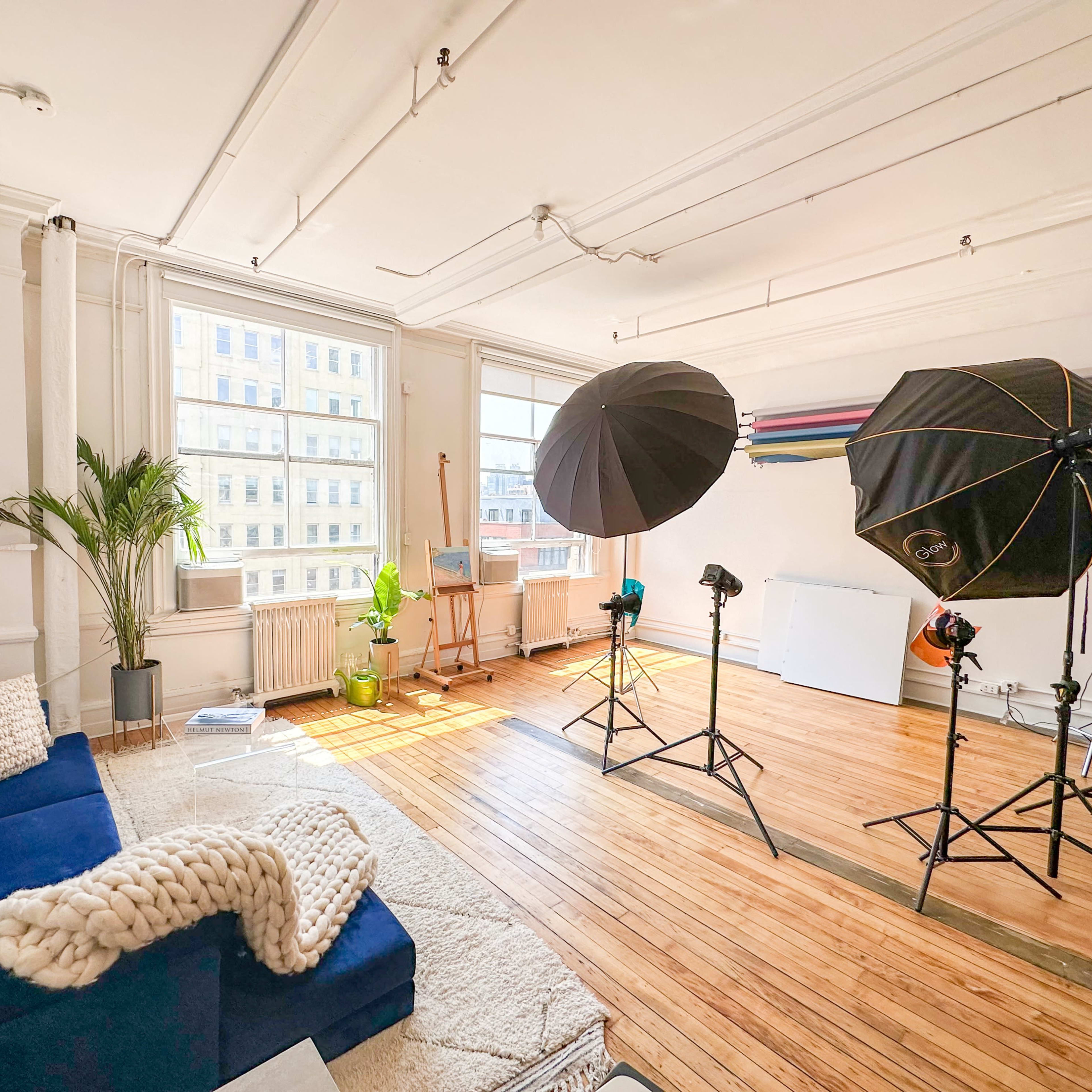 A spacious, well-lit studio with a blue couch, a plant, and several photography lighting setups against a backdrop of large windows.