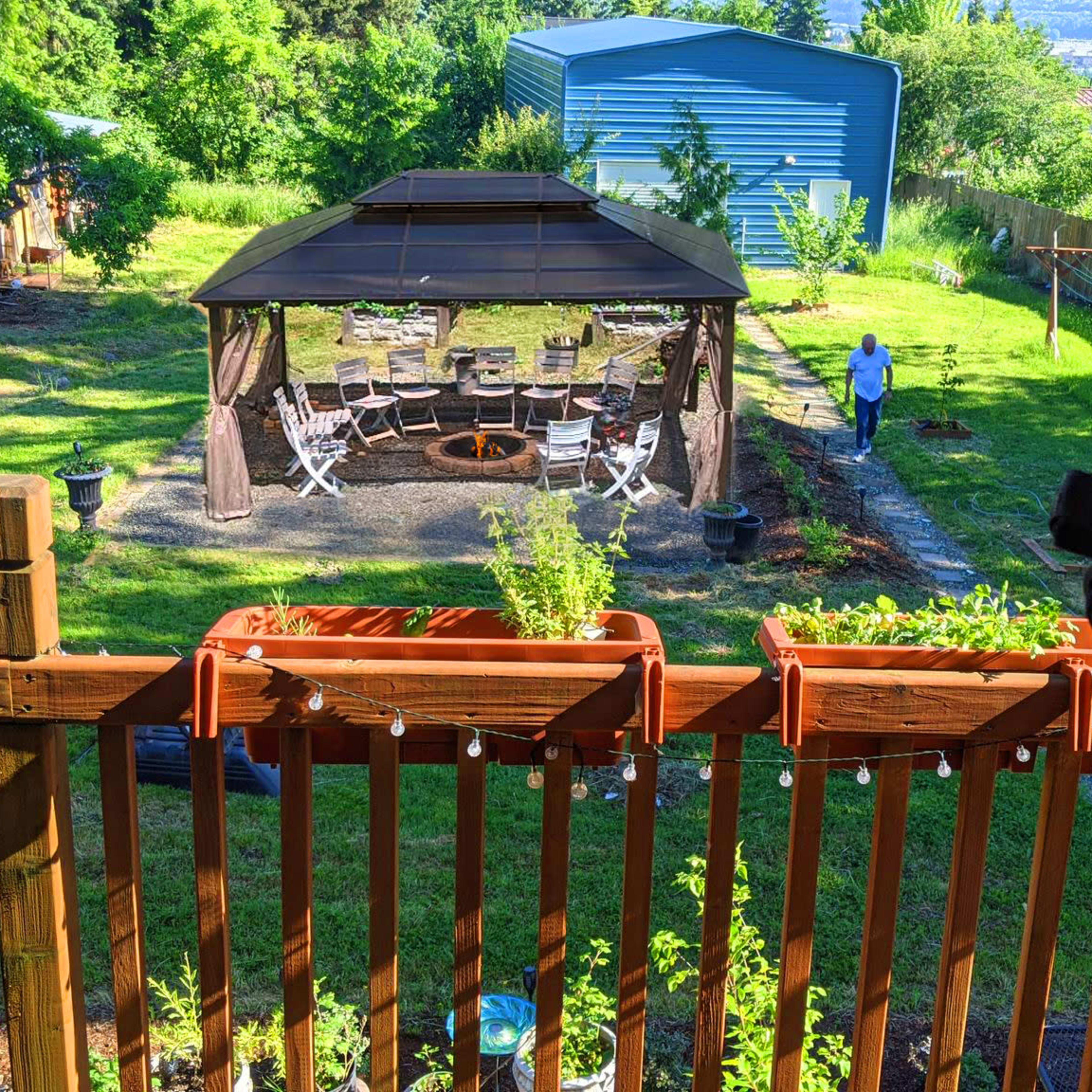 A backyard with a gazebo, seating area, and a person working in the garden, framed by greenery and a blue shed in the background.