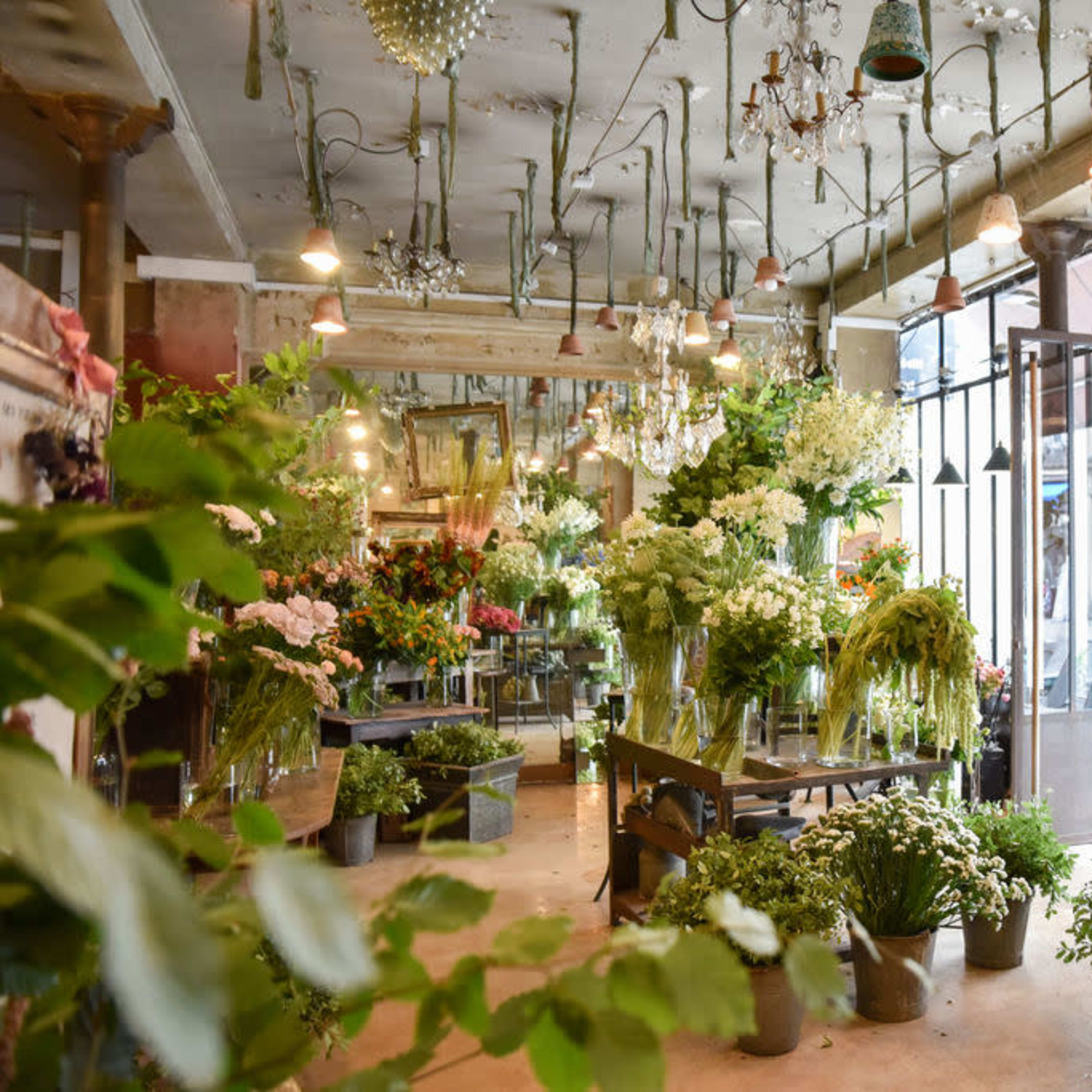 A flower shop filled with various arrangements of flowers and plants displayed in glass vases and pots.