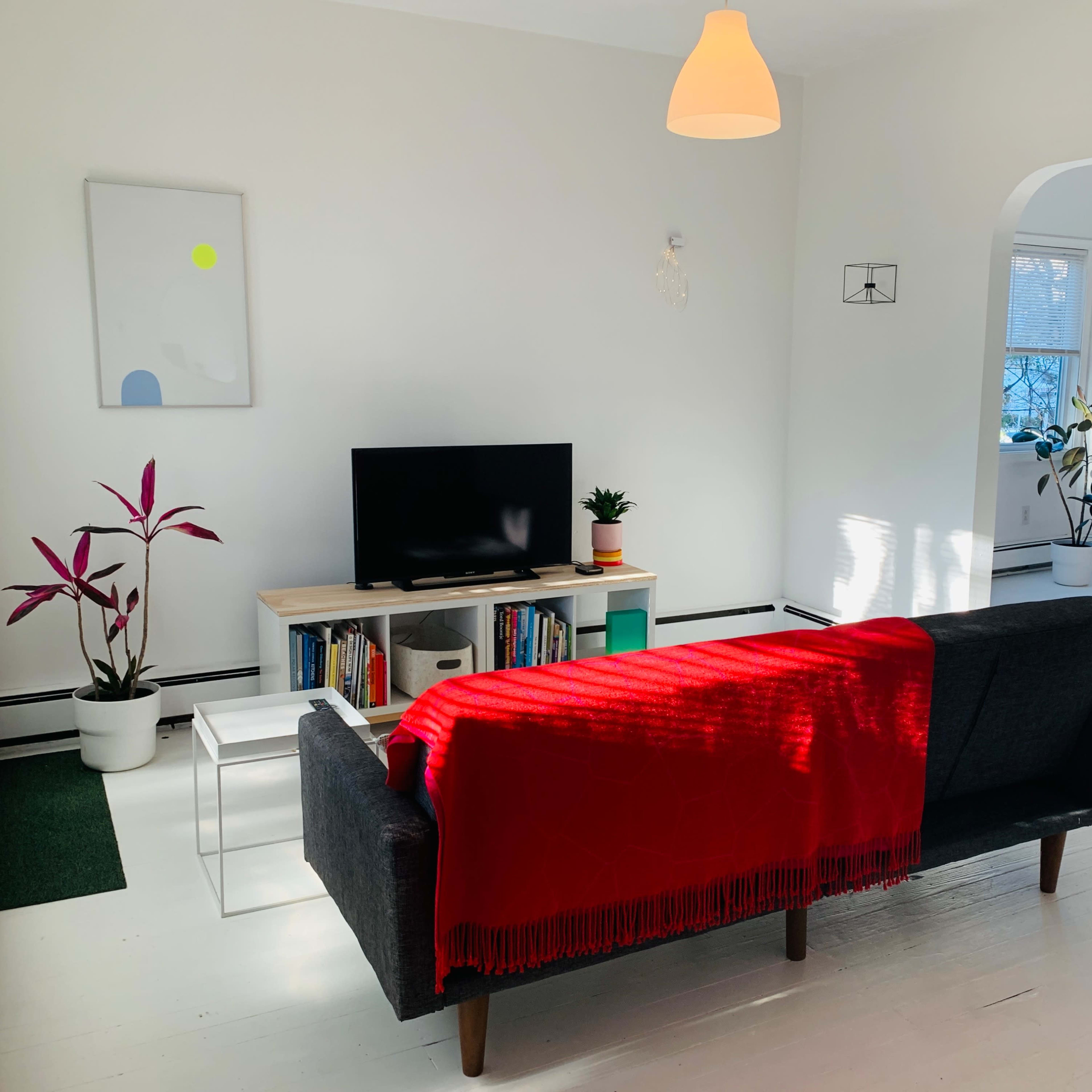 The room features a couch draped with a red blanket, a television on a wooden stand, and plants positioned around a bright, minimalist space.