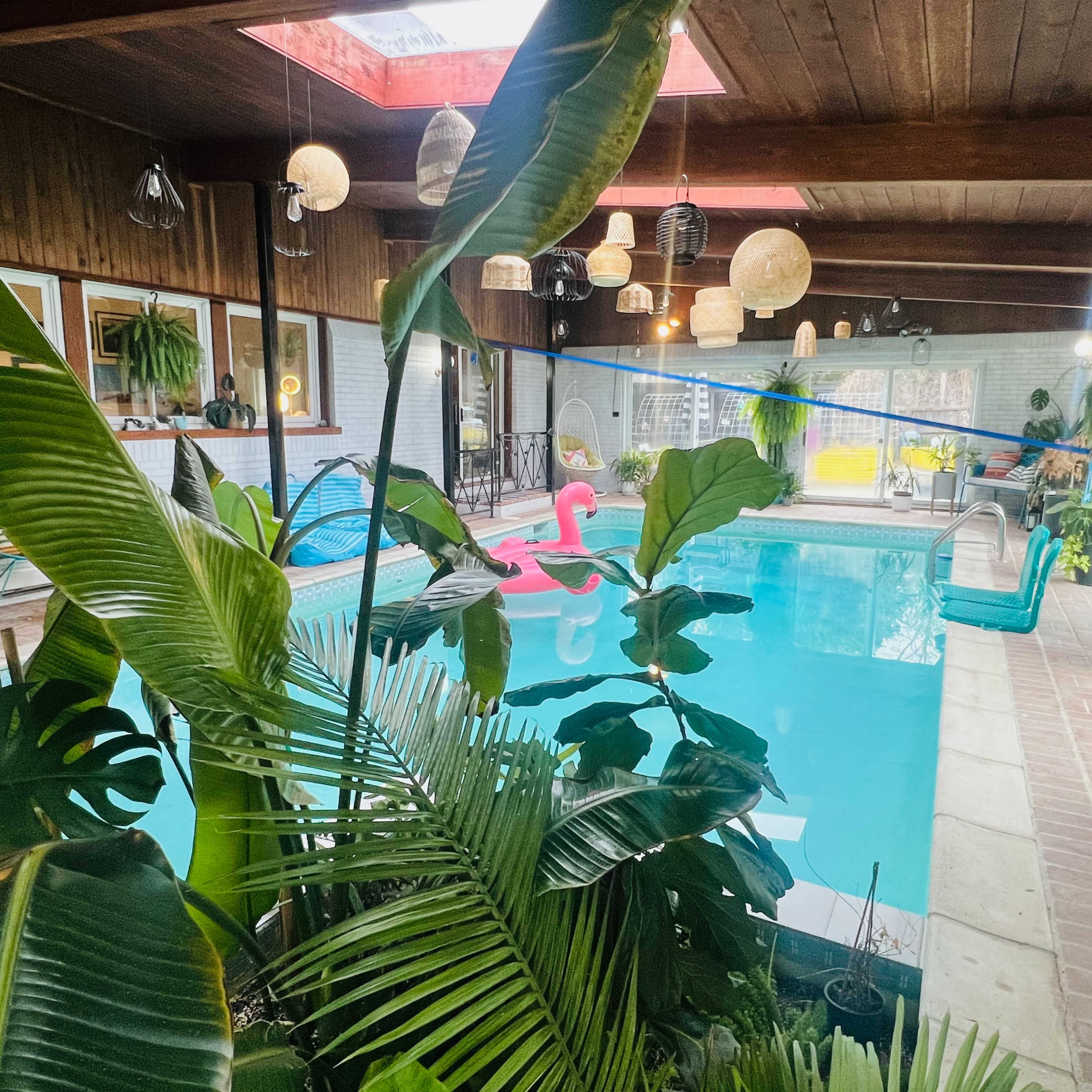 Tropical Indoor Swimming Oasis Image in Hampden South, Denver, CO