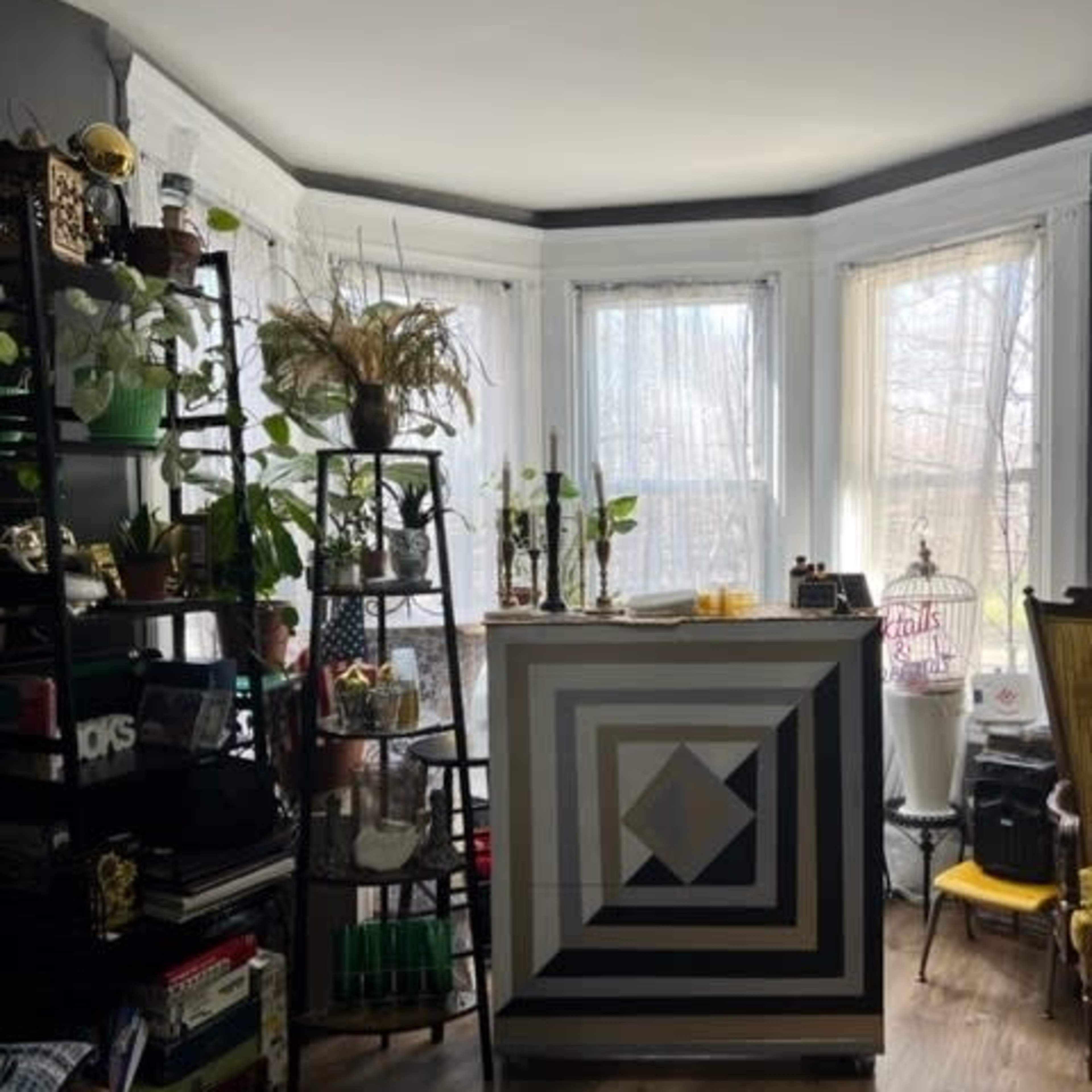 A small, well-decorated room features large windows with natural light, plants, and a geometric-patterned reception desk.