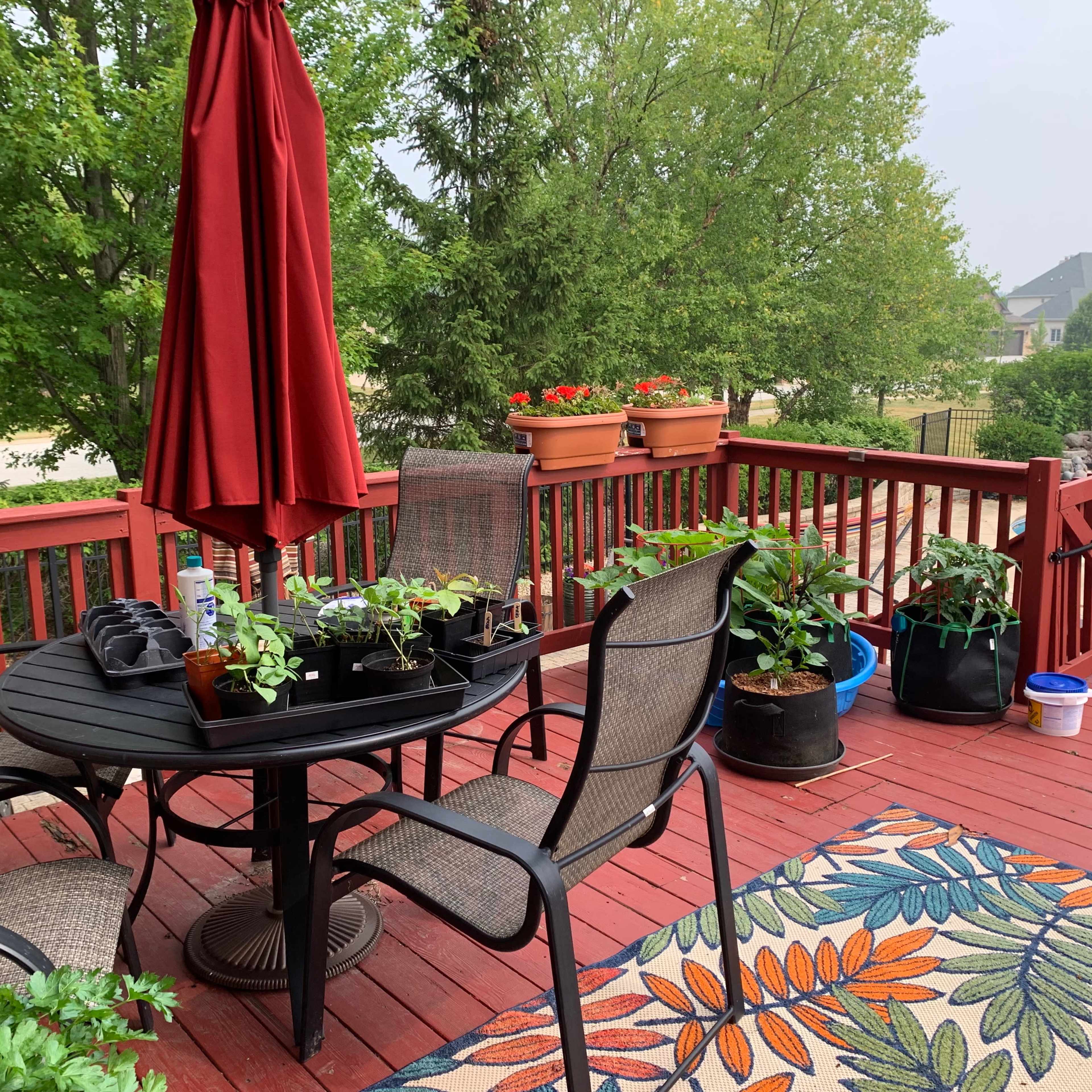 A wooden deck features a round table with chairs, potted plants, and a red umbrella overlooking a green yard and pool.