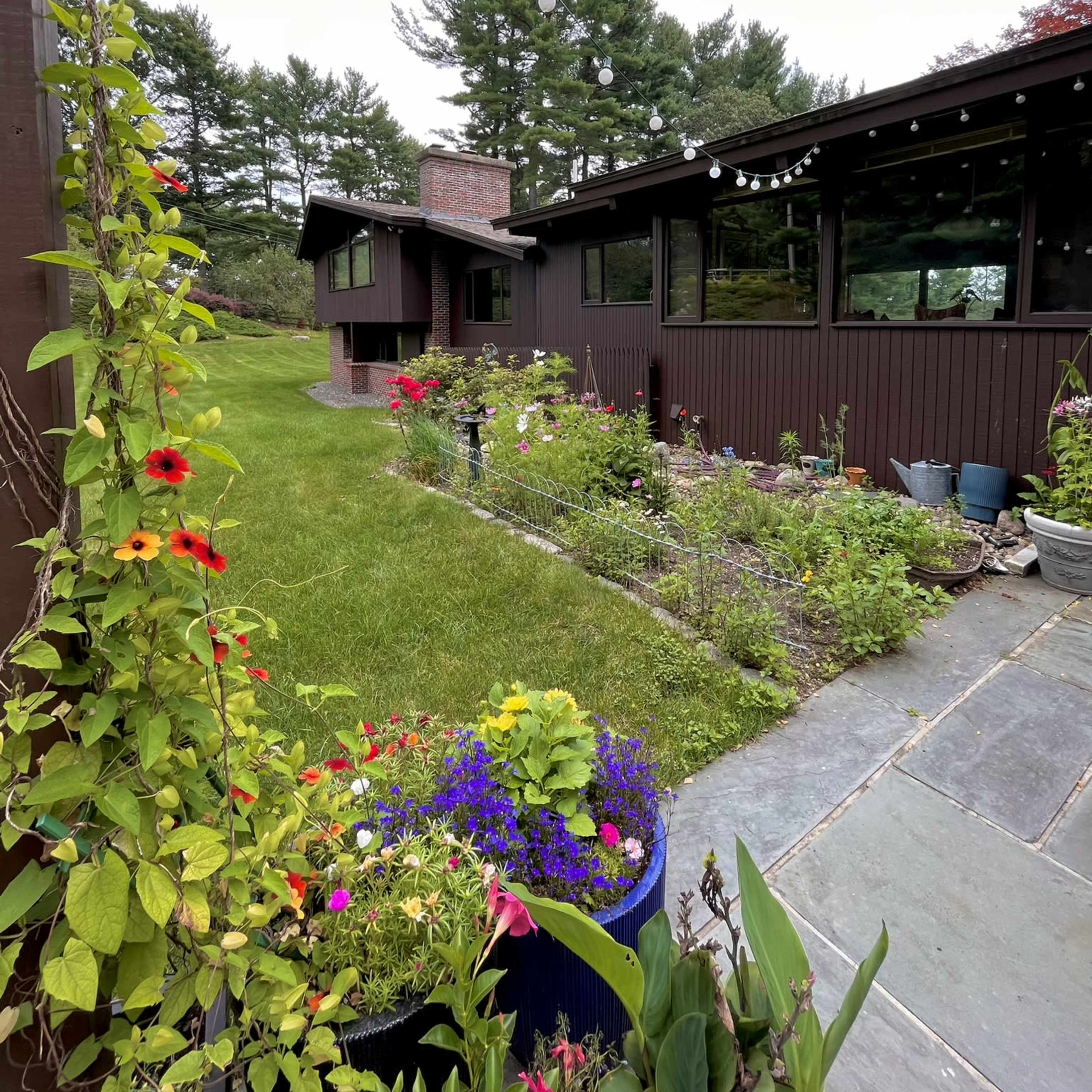 A well-maintained garden featuring colorful flowers and a cozy house with large windows in a green, tree-lined setting.
