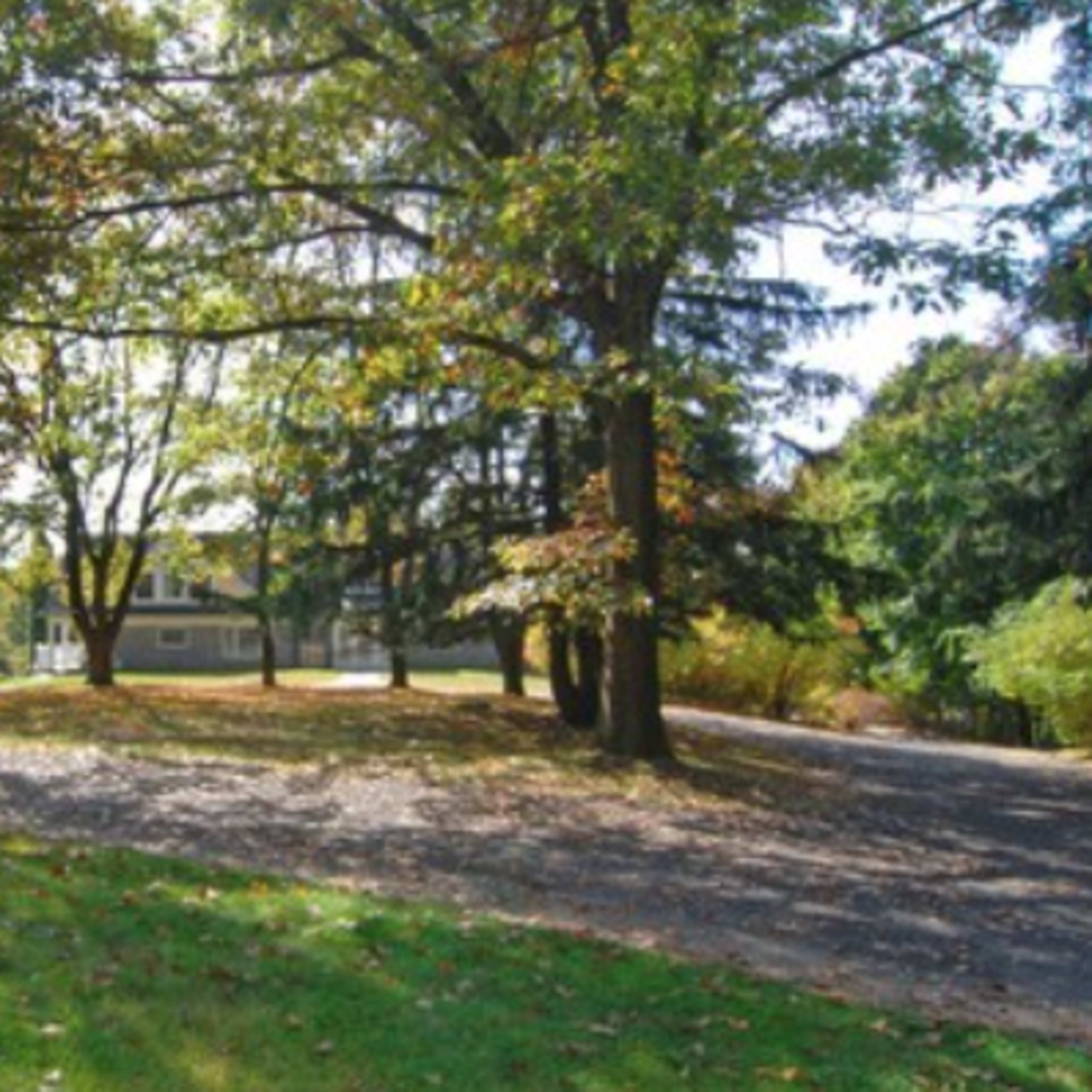 A house surrounded by trees and a gravel driveway in a landscaped yard.