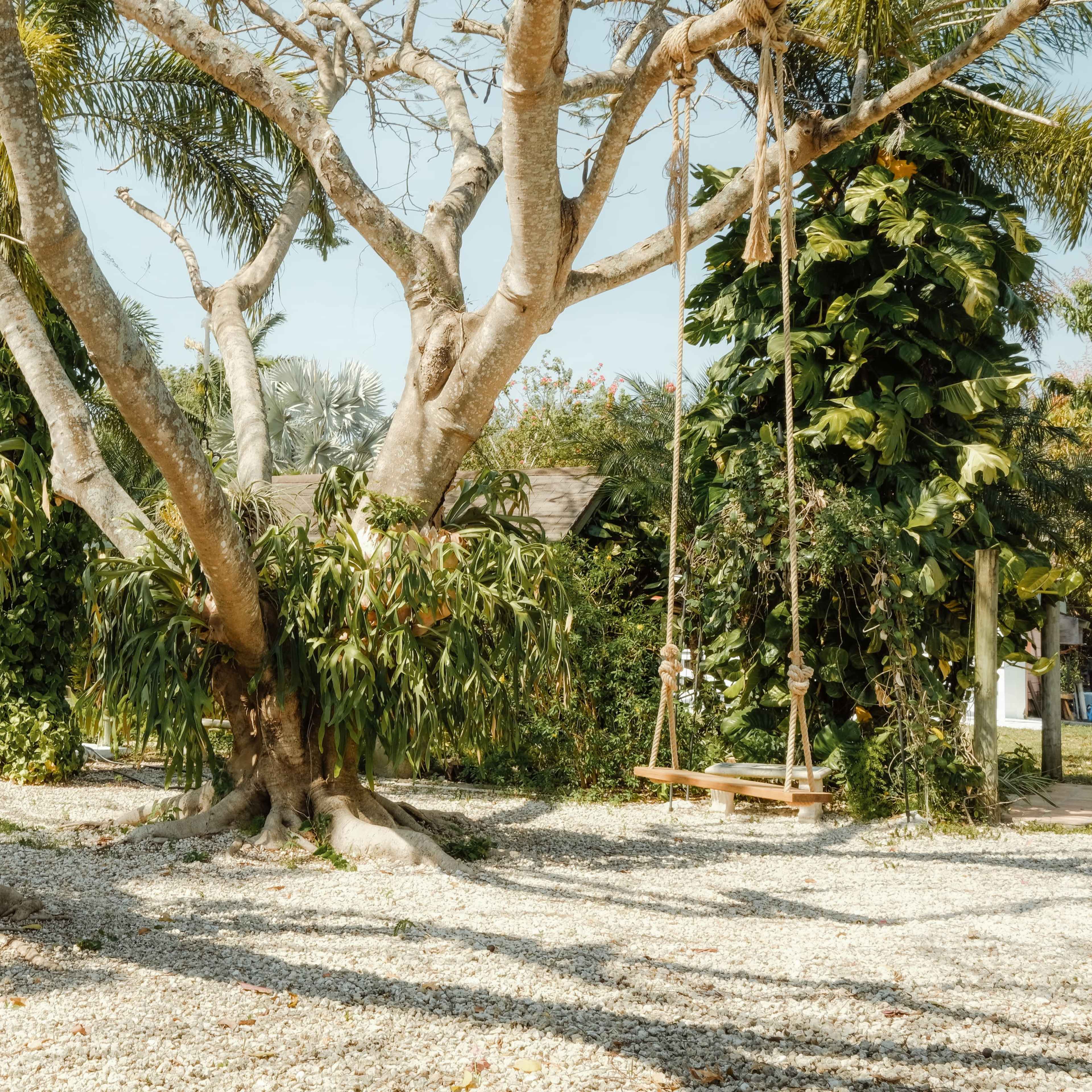 The scene features two large trees with lush foliage, a wooden swing hanging from one of the branches, and a wagon wheel resting on the ground among gravel.