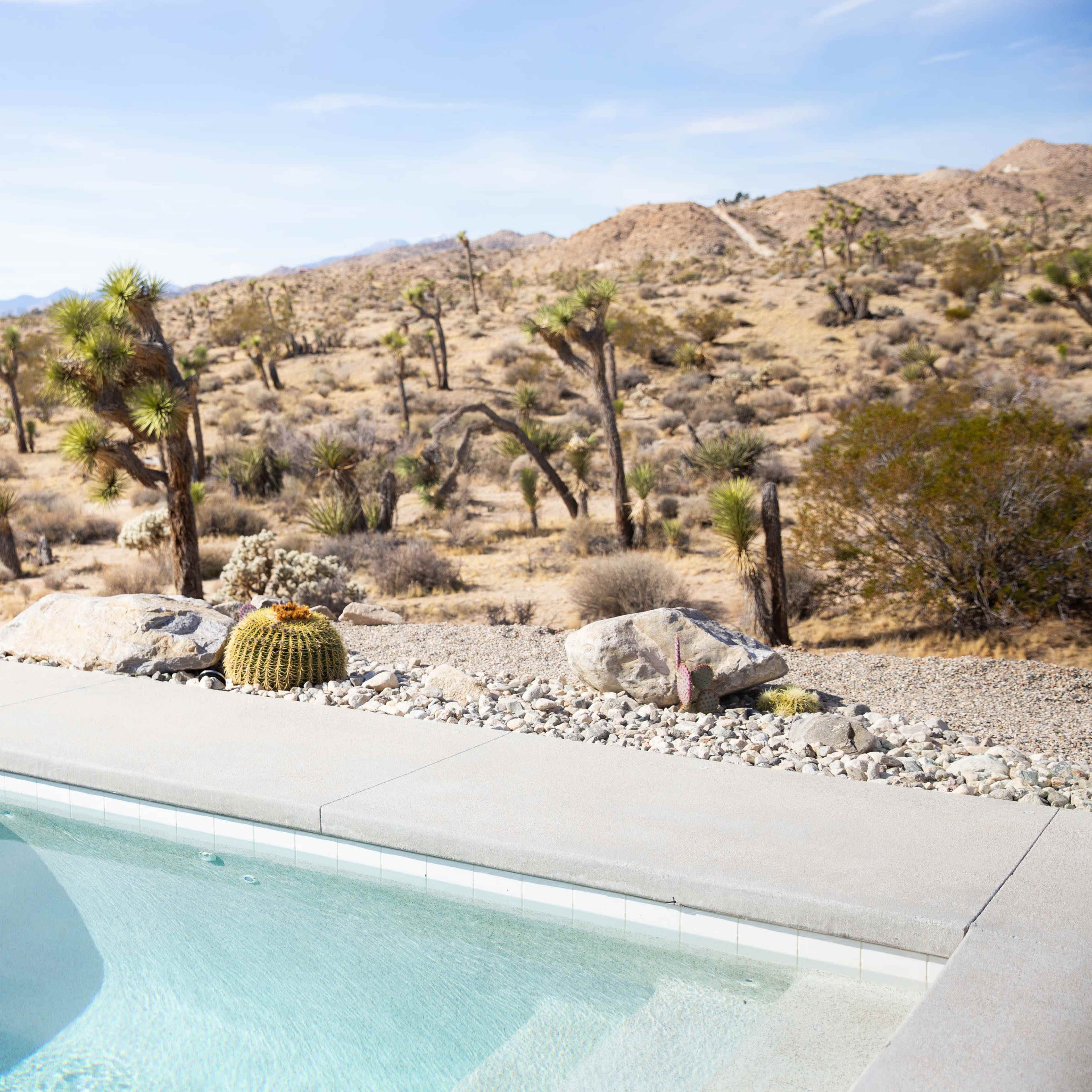 A swimming pool with a stone edge overlooks a desert landscape featuring Joshua trees and rocky hills.