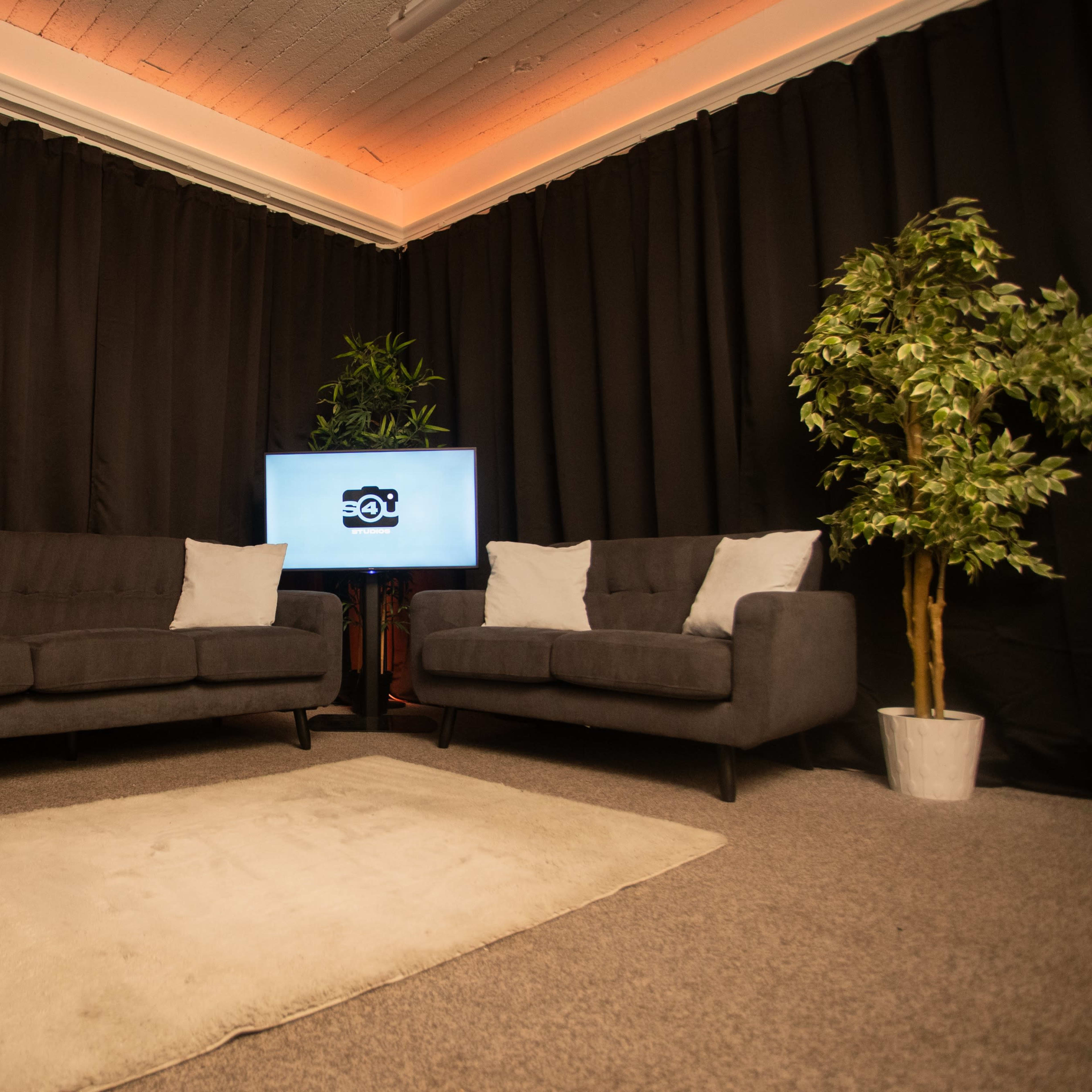 A modern sitting area features two gray sofas with white cushions, a television on a stand, and potted plants against a black curtain backdrop.