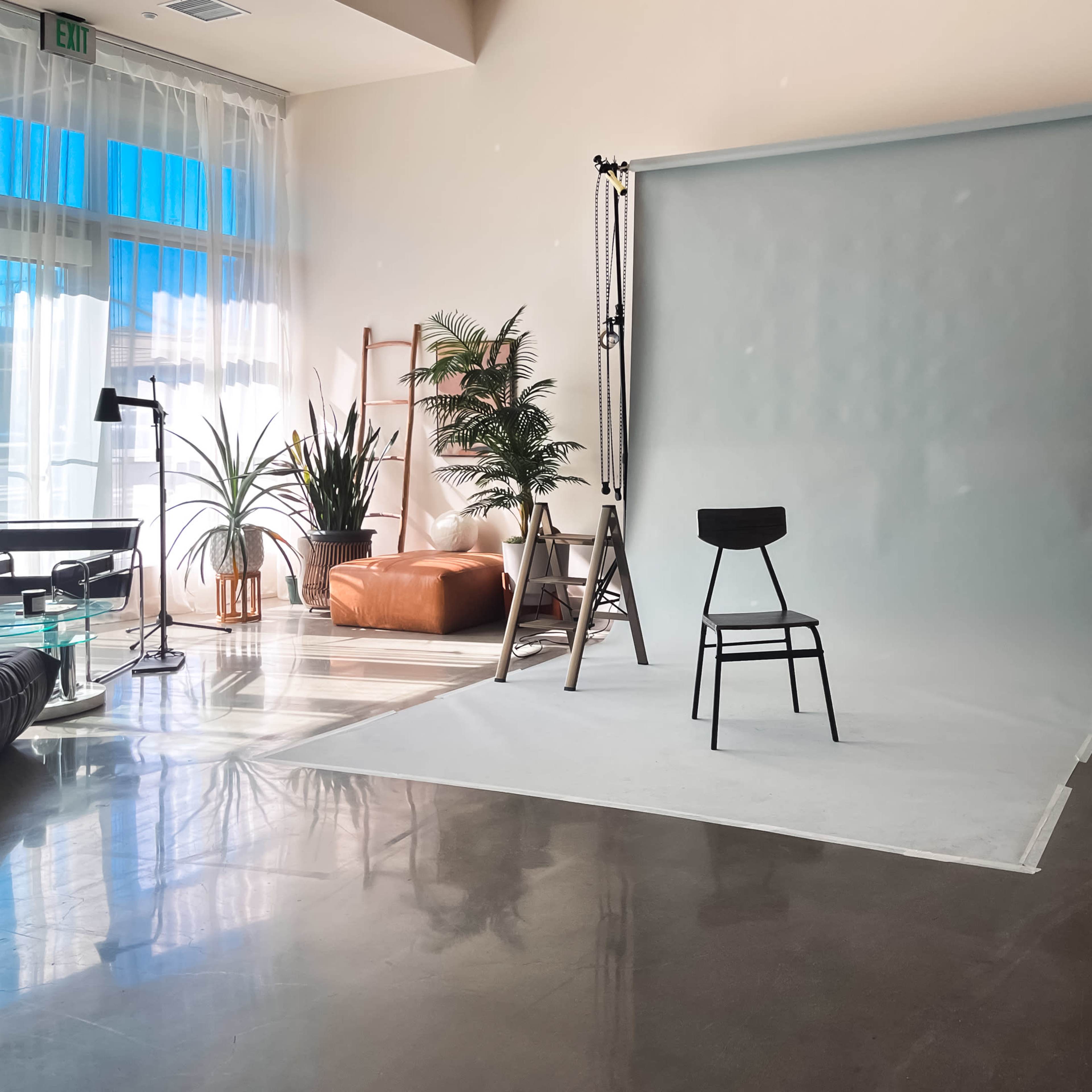 A well-lit photo studio featuring a black stool in front of a light blue backdrop, surrounded by plants and a full-length mirror.